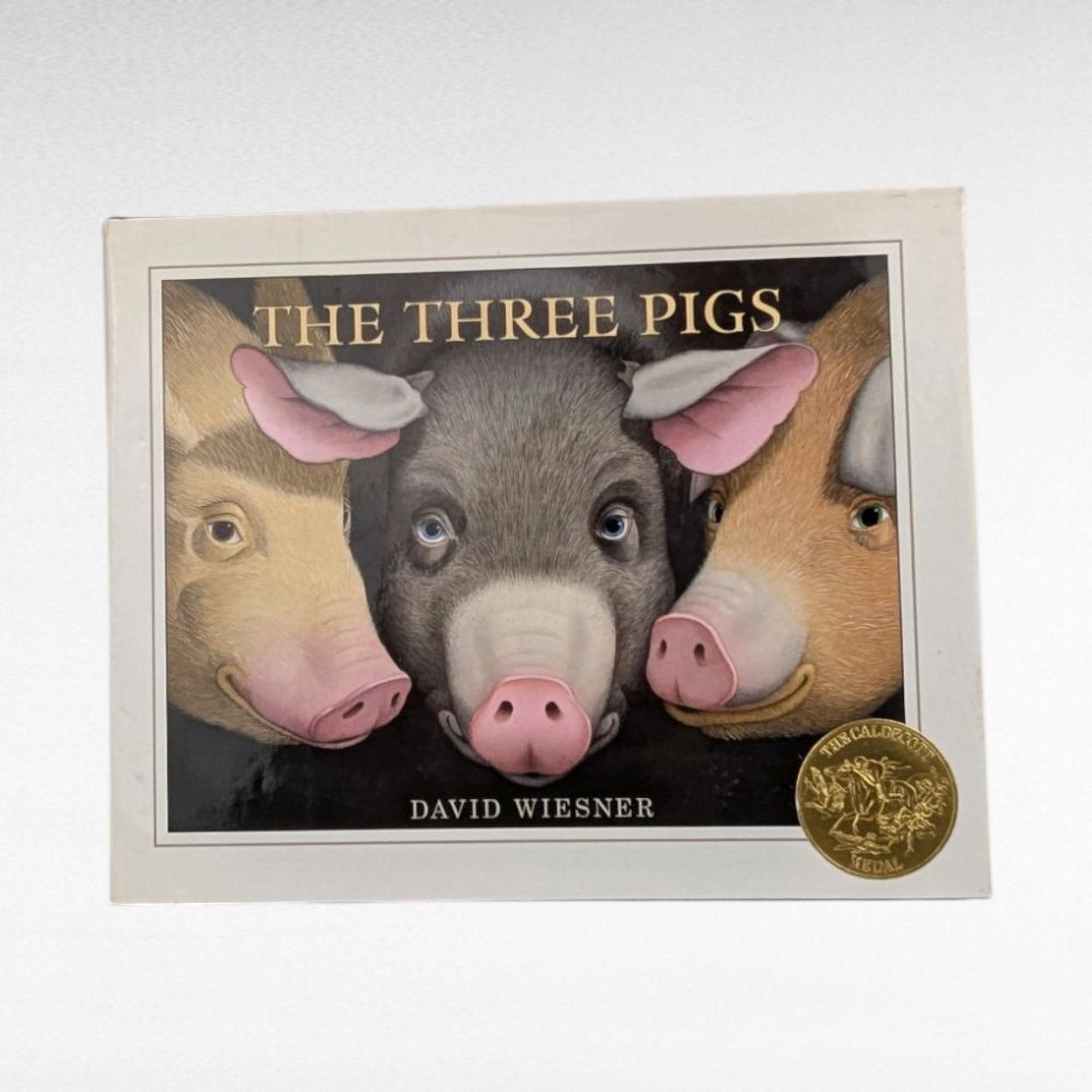 2001 The Three Pigs by David Wiesner, Caldecott Medal Winner, Hardcover Children's Book, Vintage Storybook Gift