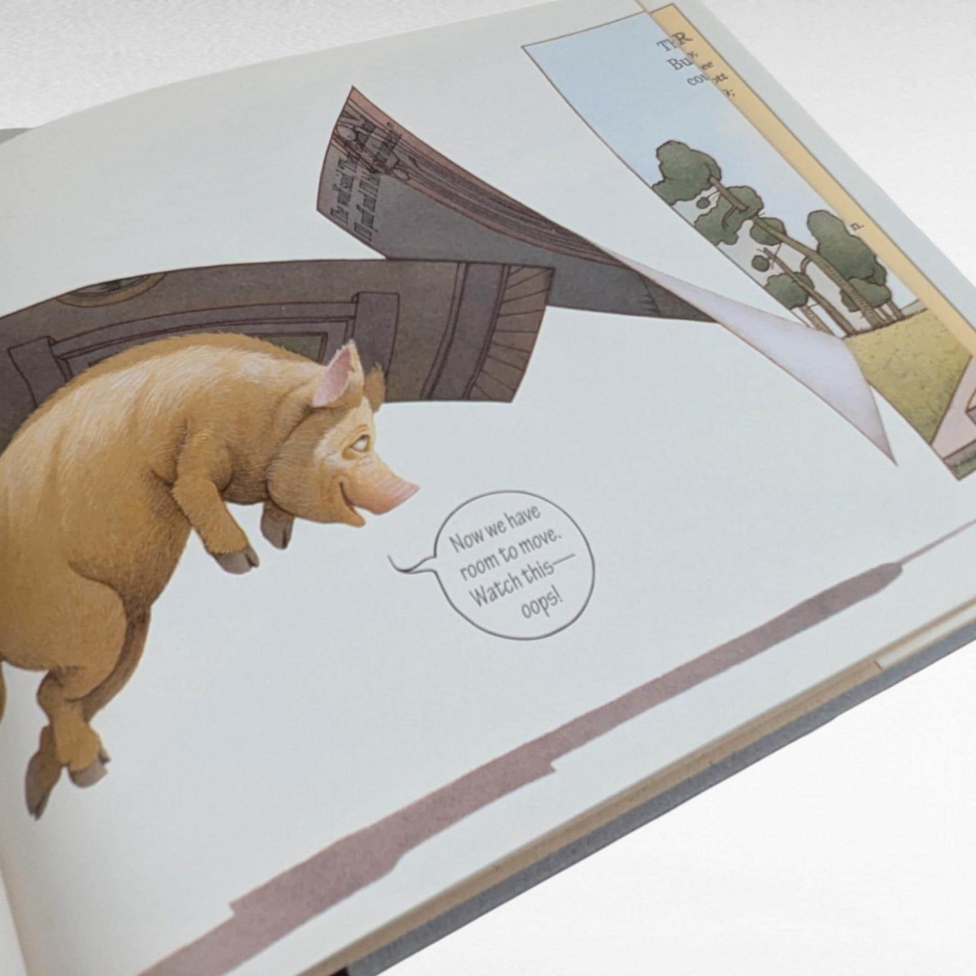2001 The Three Pigs by David Wiesner, Caldecott Medal Winner, Hardcover Children's Book, Vintage Storybook Gift