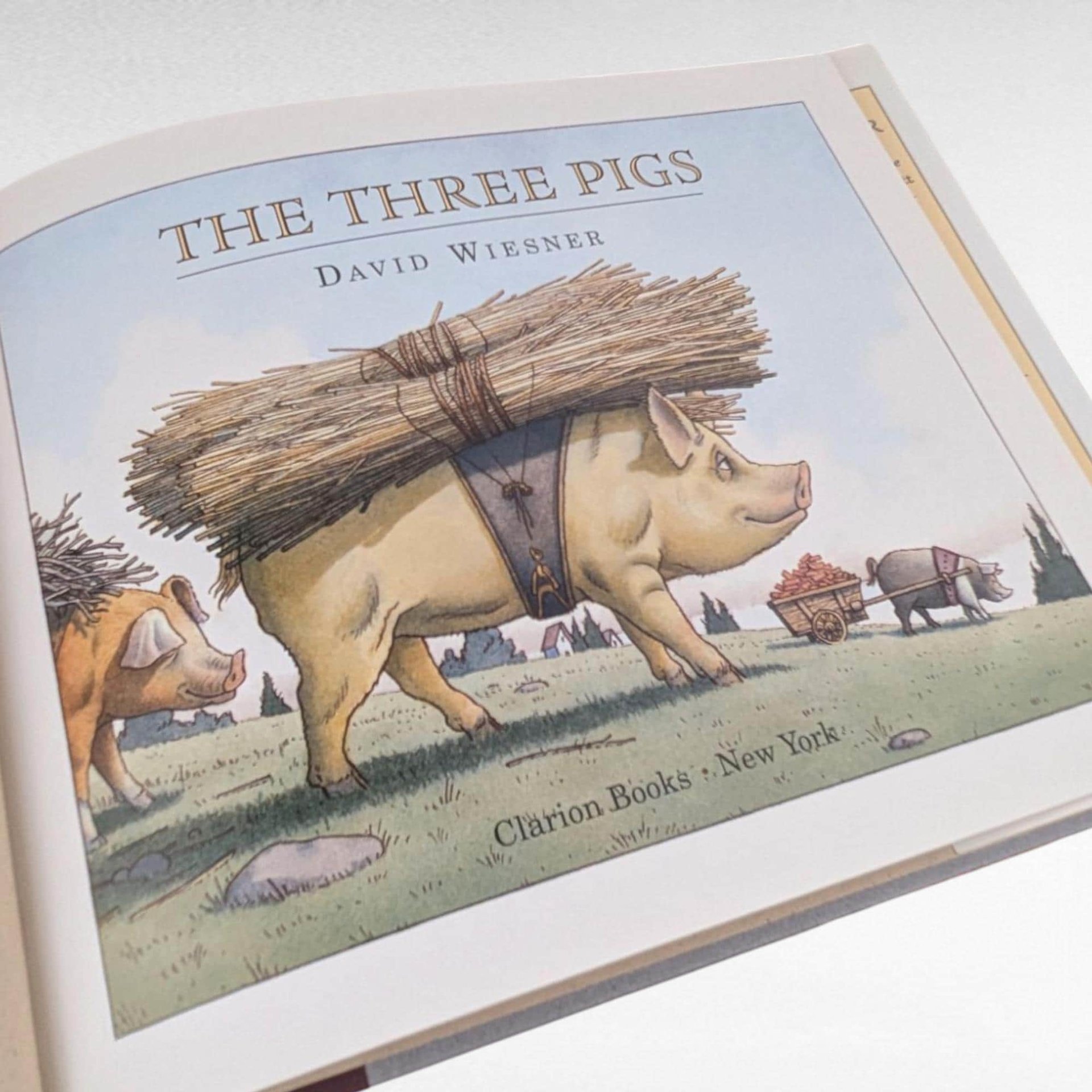 2001 The Three Pigs by David Wiesner, Caldecott Medal Winner, Hardcover Children's Book, Vintage Storybook Gift
