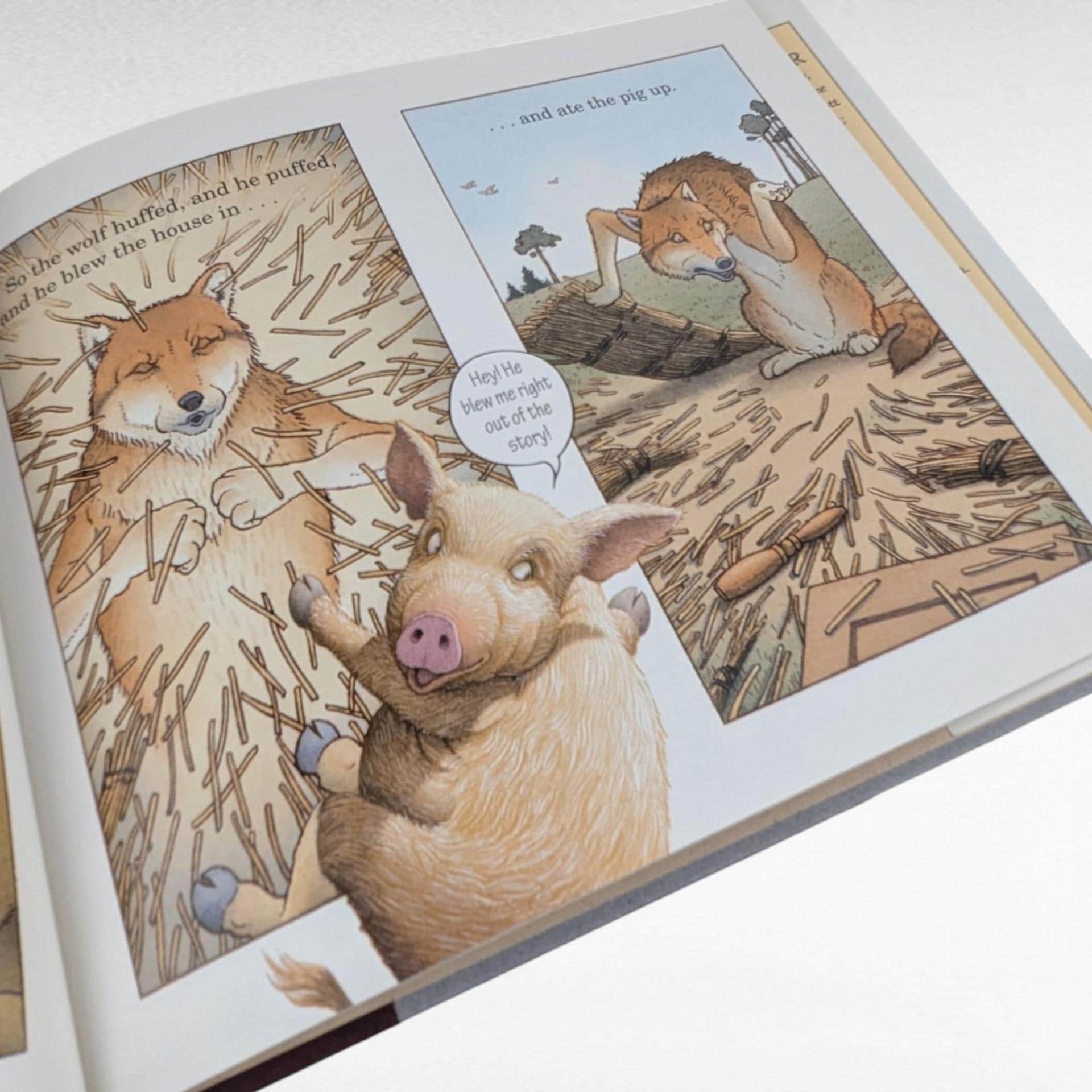 2001 The Three Pigs by David Wiesner, Caldecott Medal Winner, Hardcover Children's Book, Vintage Storybook Gift