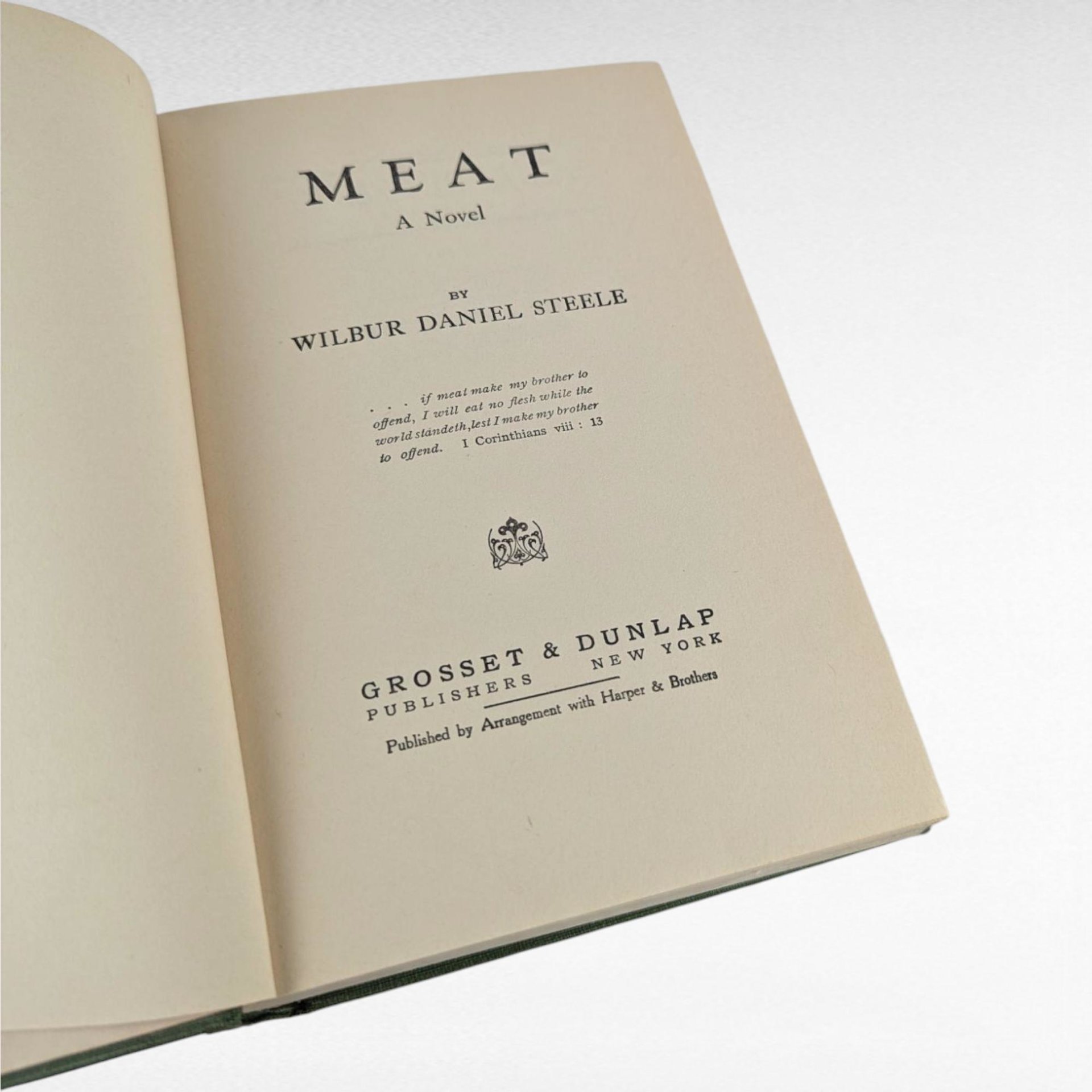 1928 "Meat" Hardcover Book by Wilbur Daniel Steele, Grosset & Dunlap, Collectible Book, Vintage Literature, Literary Gift