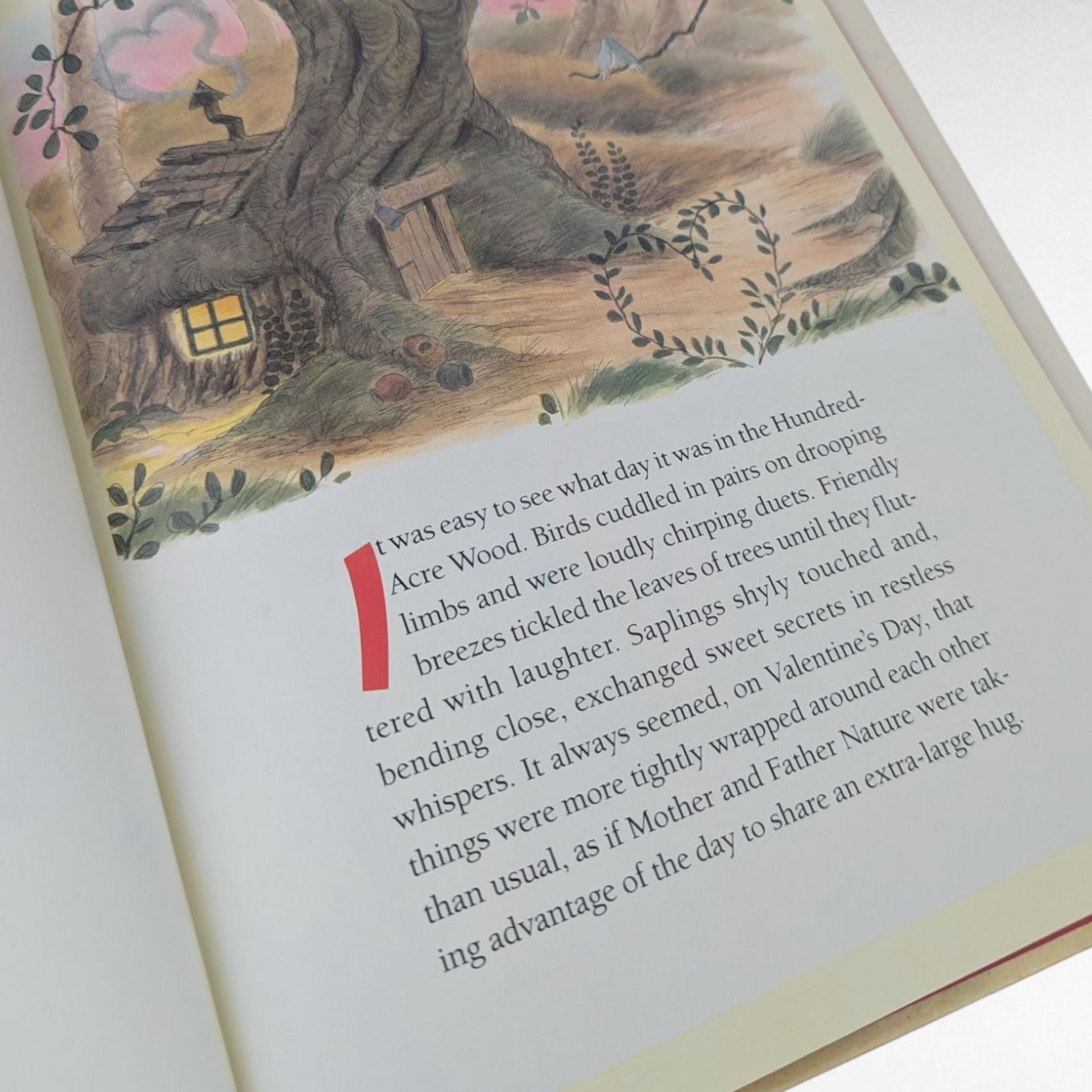 1995 Disney Winnie the Pooh's Valentine Hardcover Book, Children's Valentine Story, Pooh Bear Gift