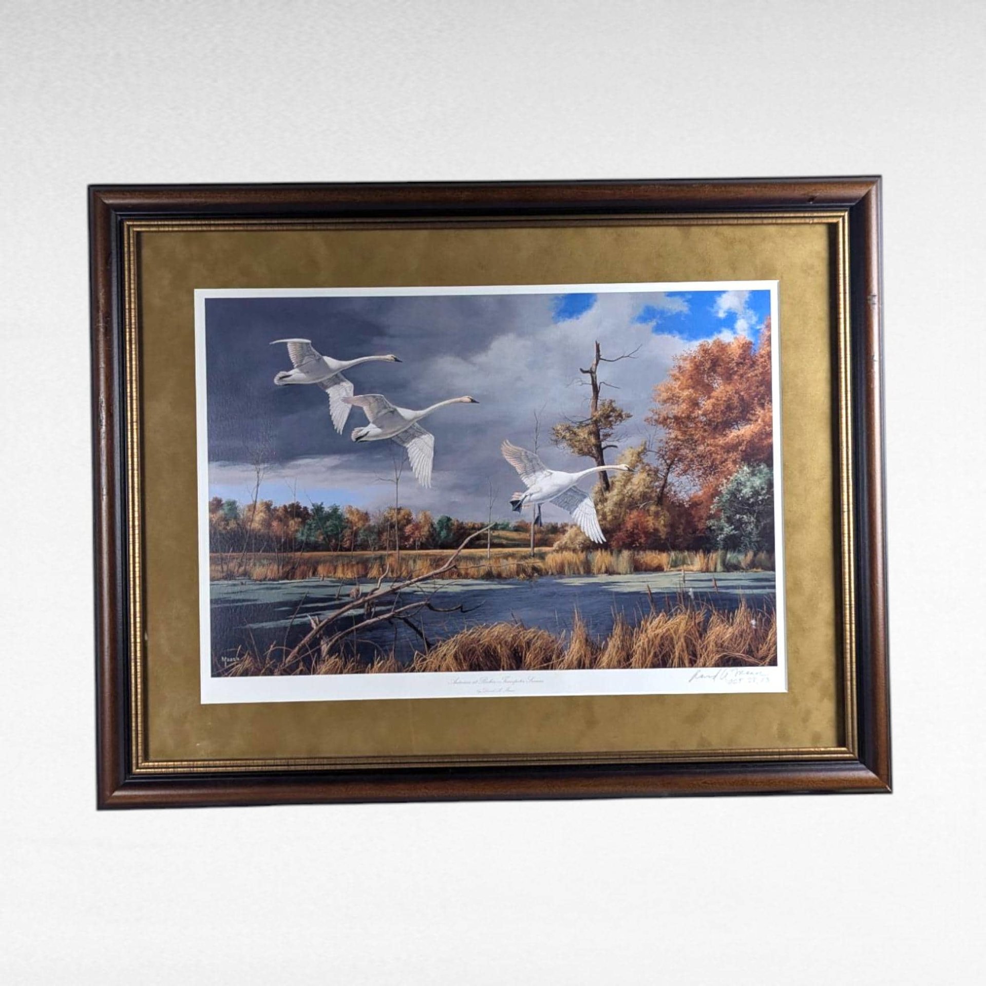David A. Maass "Autumn at Baker - Trumpeter Swans" Framed Print, Signed Wildlife Art, Vintage Bird Decor, Swan Landscape Painting