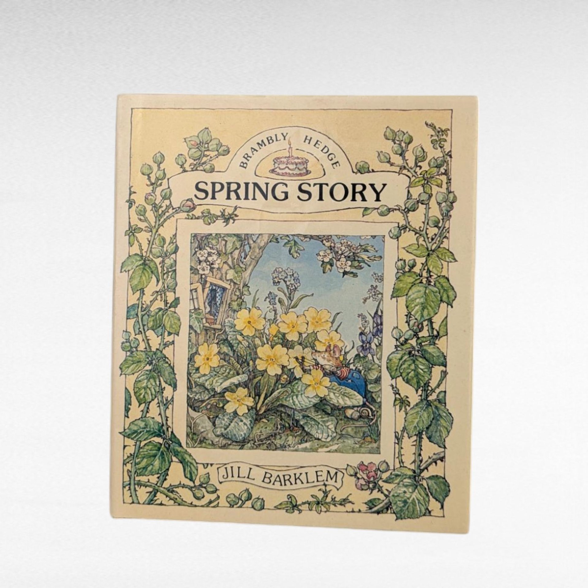 1980 Brambly Hedge Spring & Summer Books by Jill Barklem, Vintage Children's Hardcovers, Illustrated Storybooks