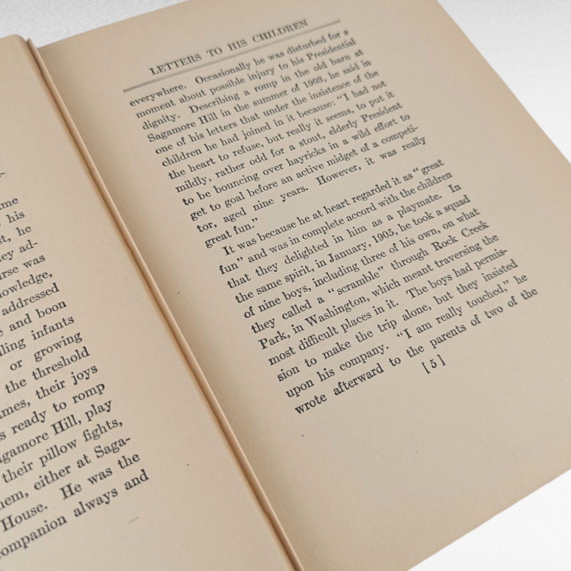 1919 Theodore Roosevelt Letters Book, Edited by Bishop, Hardcover, Historical Correspondence, Gift for History Buff, Antique Book Decor