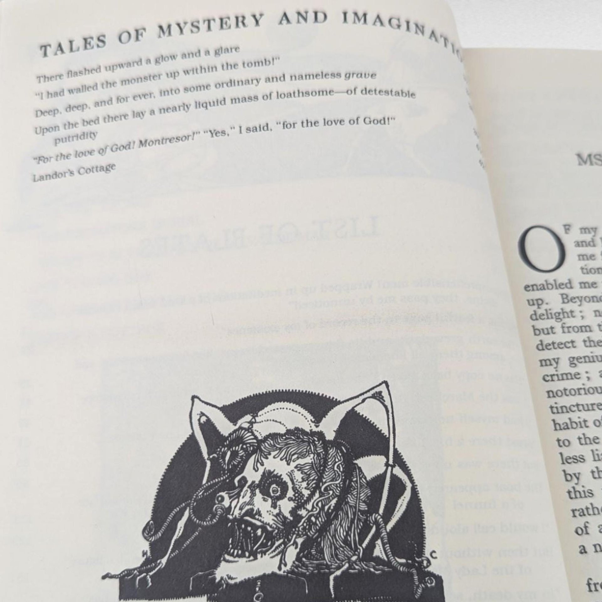 Vintage Edgar Allan Poe Tales of Mystery Imagination, Harry Clarke Illustrations, Gothic Literature, Gift for Reader