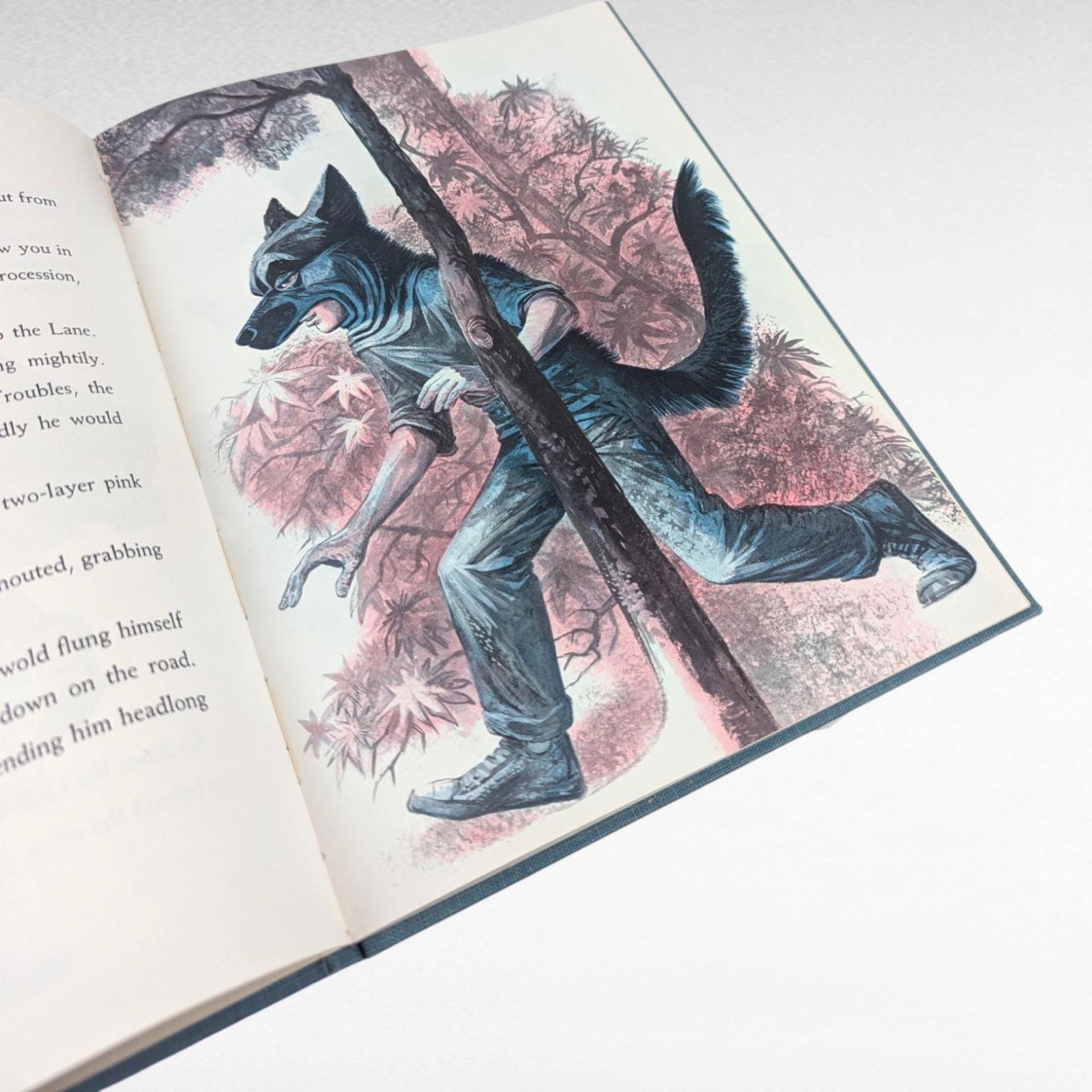 1967 The Wolf of Lambs Lane by Mary McNeer, Lynd Ward Illustrations, Vintage Hardcover Children's Book