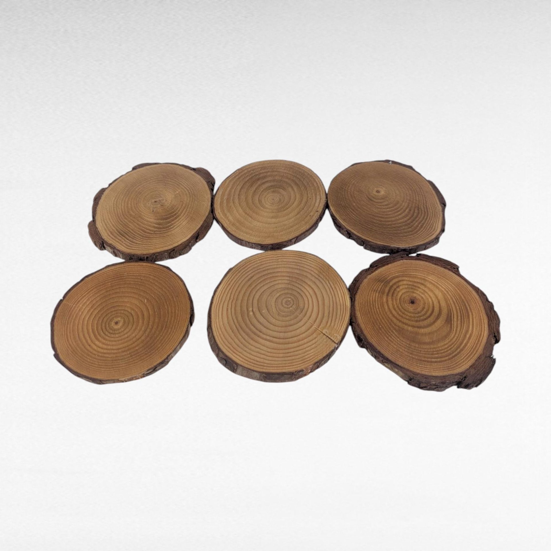 Vintage Handmade Wood Slice Coasters Set of 6, Nature Fairy & Bird Transfer Designs, Rustic Drinkware, Woodland Cabin Decor Gift