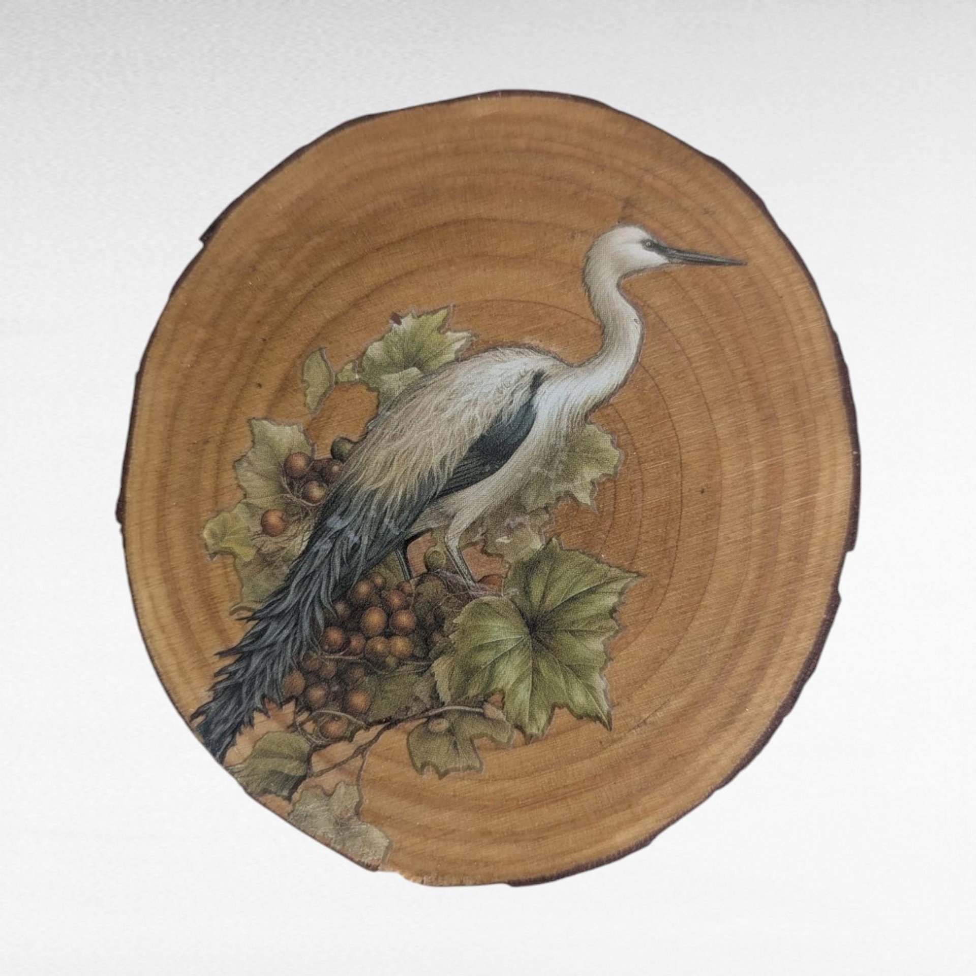 Vintage Handmade Wood Slice Coasters Set of 6, Nature Fairy & Bird Transfer Designs, Rustic Drinkware, Woodland Cabin Decor Gift
