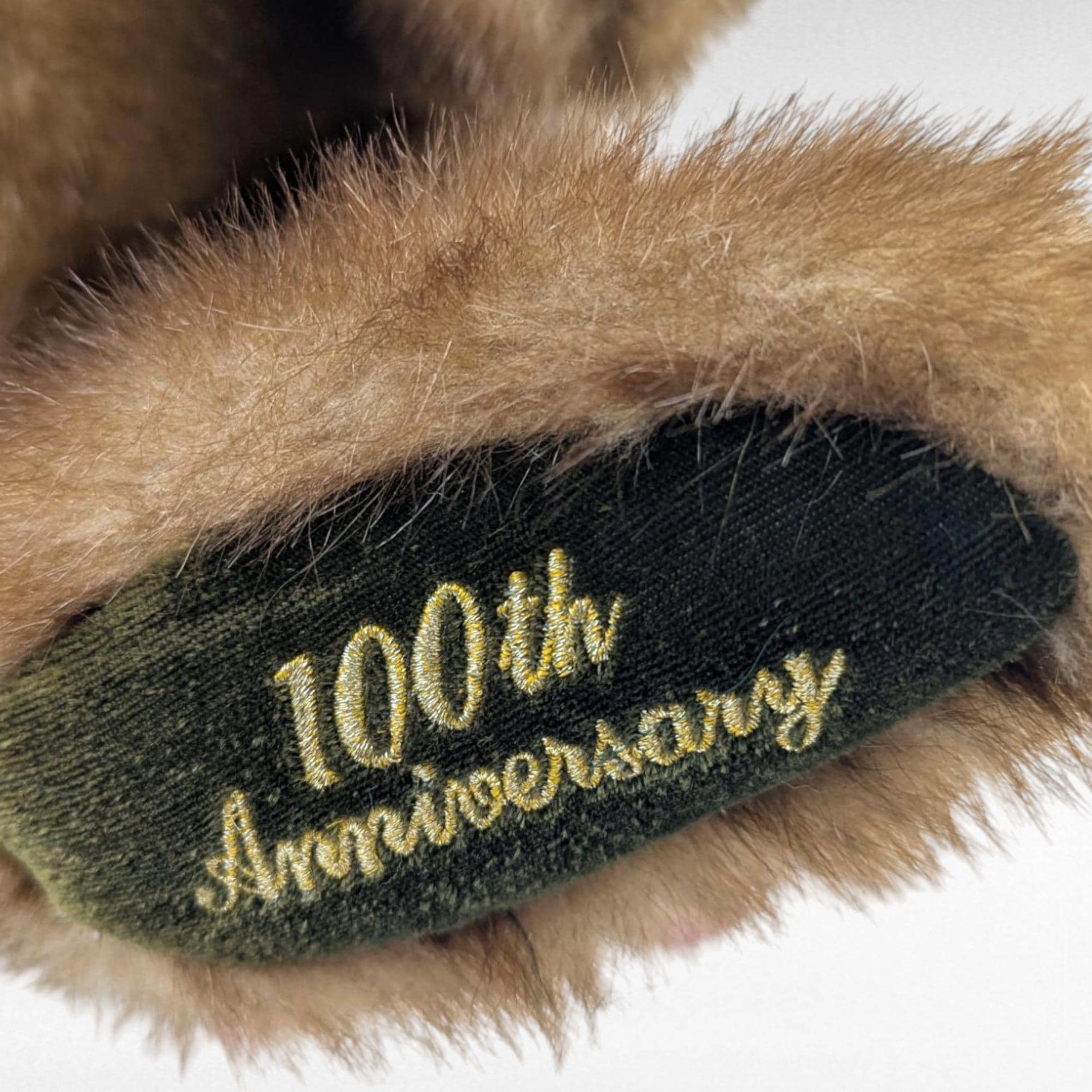 Dandee 100th Anniversary Talking Teddy Bear, Collectible Plush, Gift
