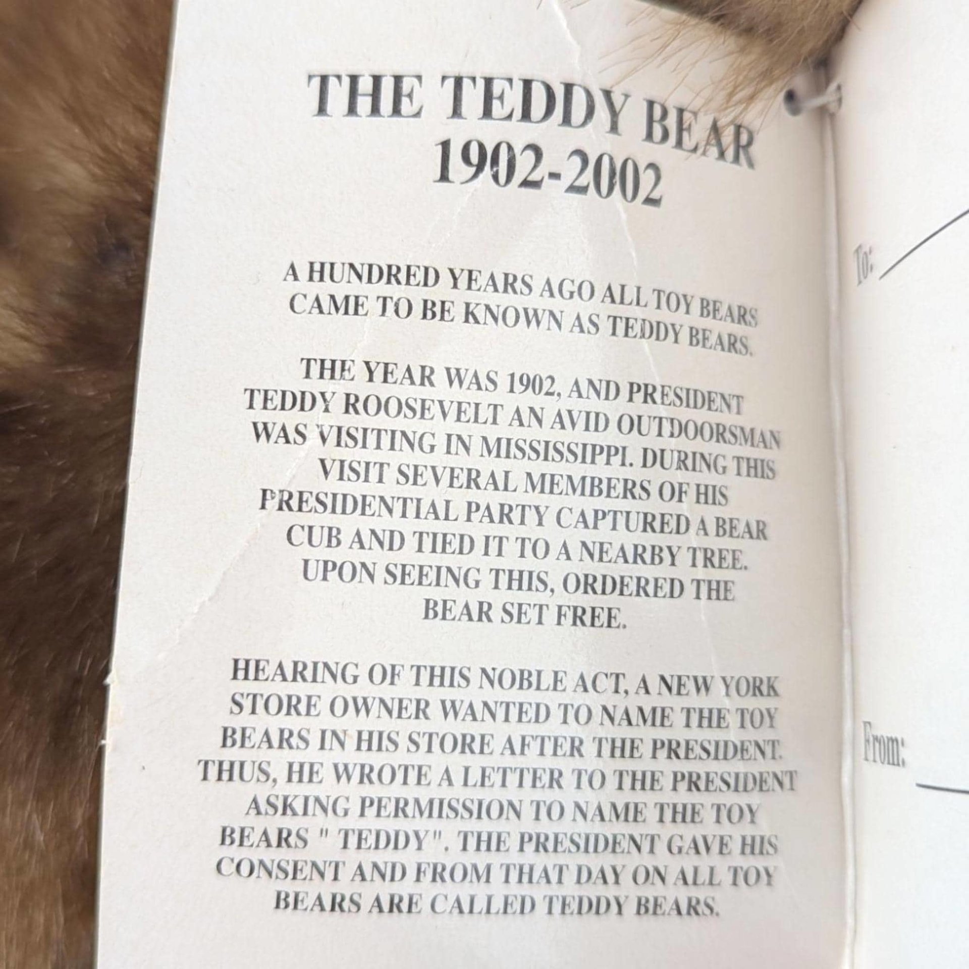 Dandee 100th Anniversary Talking Teddy Bear, Collectible Plush, Gift