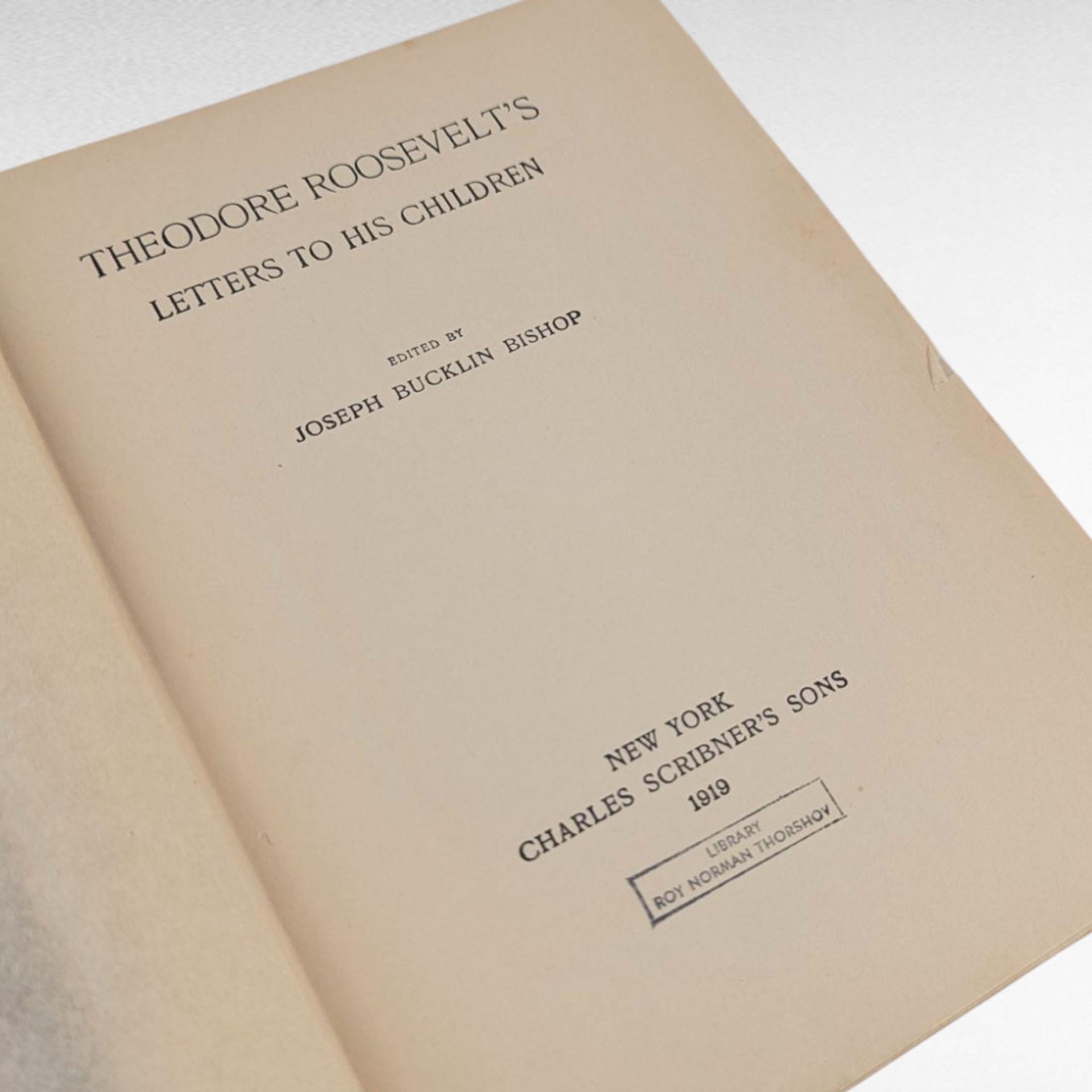 1919 Theodore Roosevelt Letters Book, Edited by Bishop, Hardcover, Historical Correspondence, Gift for History Buff, Antique Book Decor