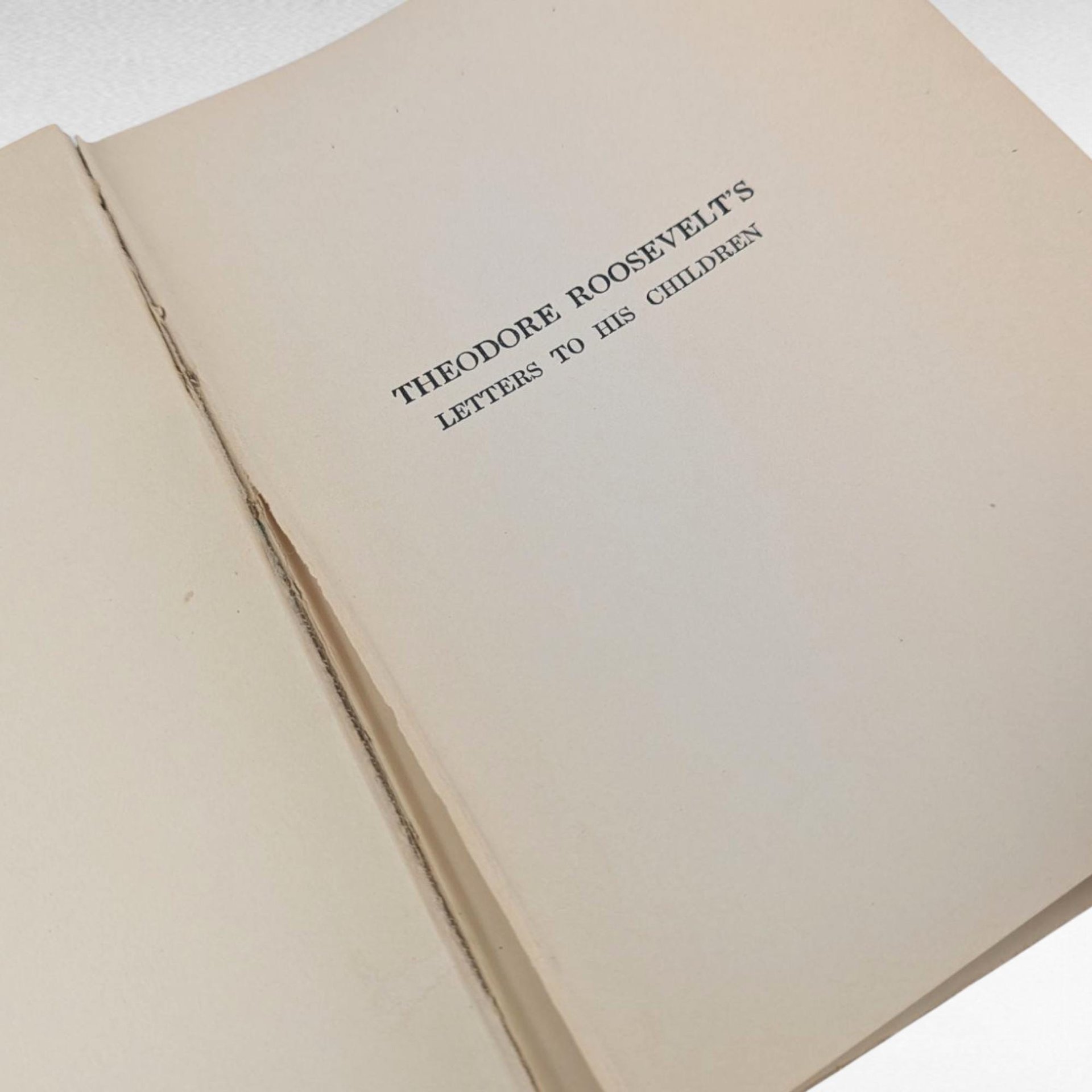 1919 Theodore Roosevelt Letters Book, Edited by Bishop, Hardcover, Historical Correspondence, Gift for History Buff, Antique Book Decor