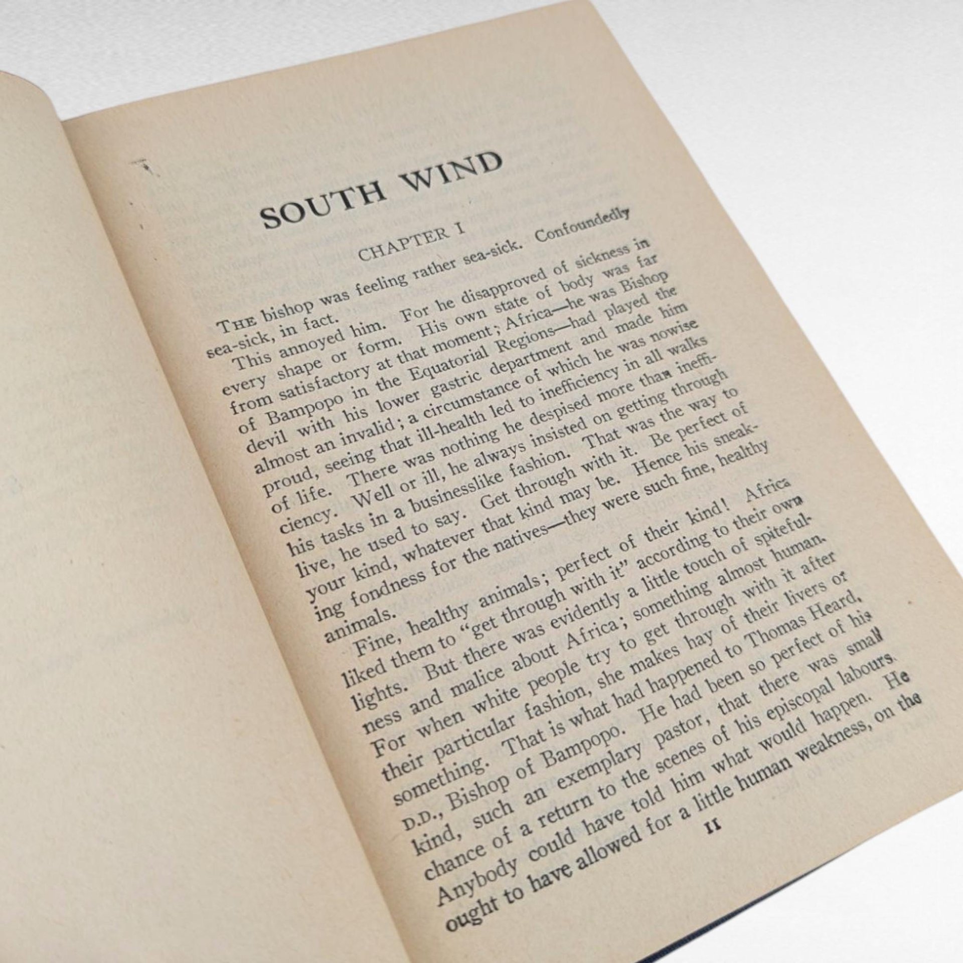 1925 Modern Library South Wind, Norman Douglas, Hardcover, Classic Literature, Gift for Bookworm