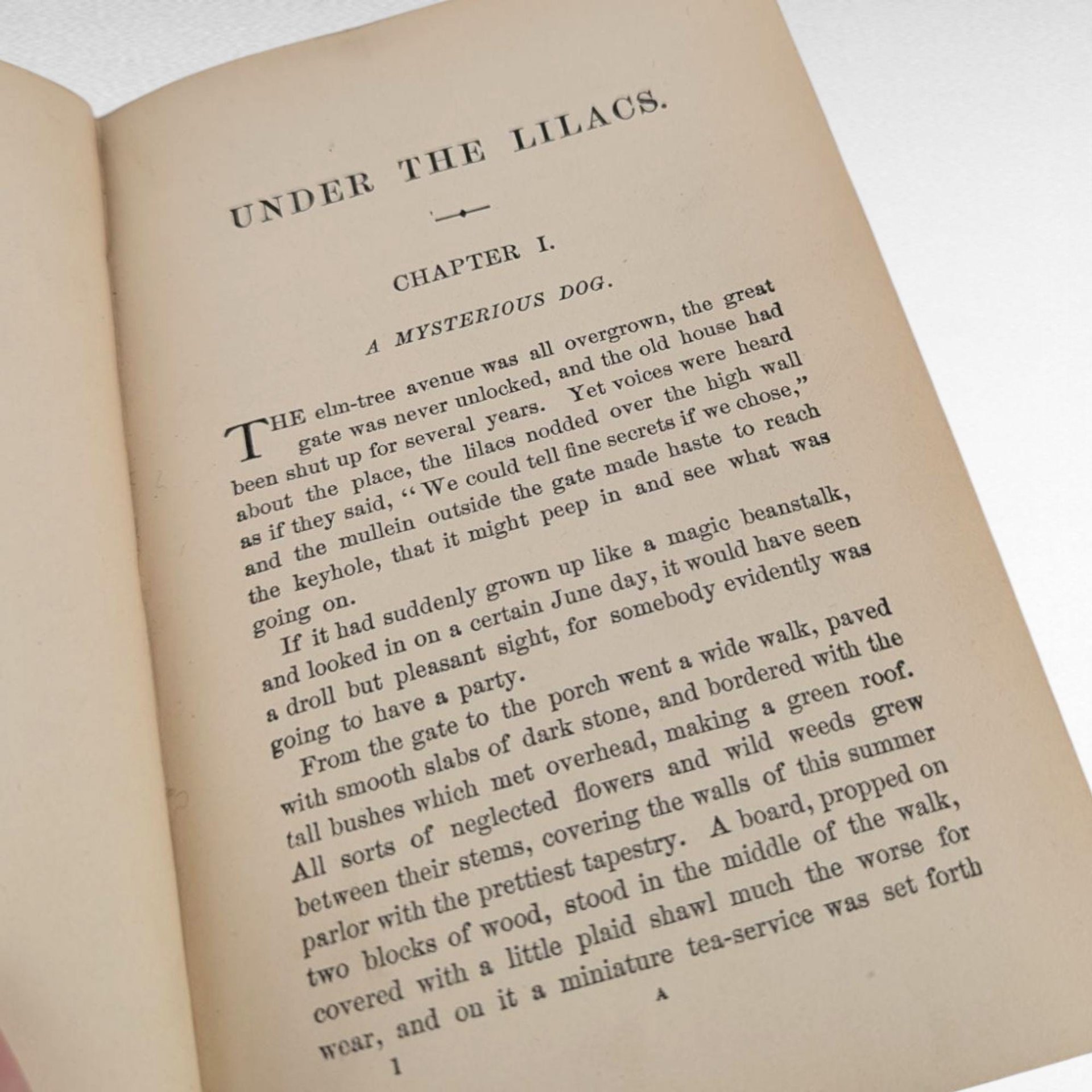 Antique 1878 Under the Lilacs Book by Louisa May Alcott, Vintage Children's Literature, Collectible Classic Novel