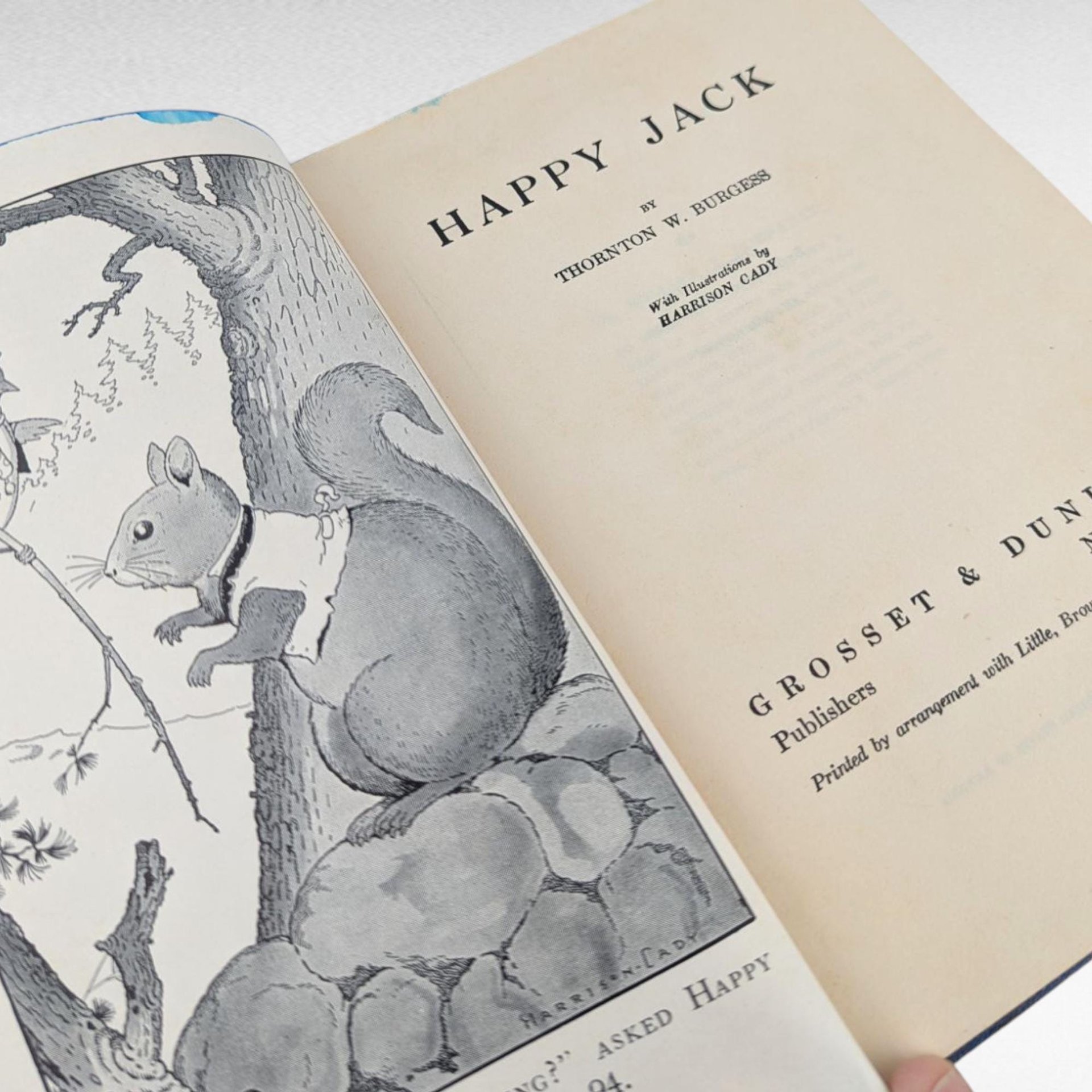 Antique 1918 Happy Jack Book by Thornton Burgess, Illustrated, Children's Story, Green Meadow Series