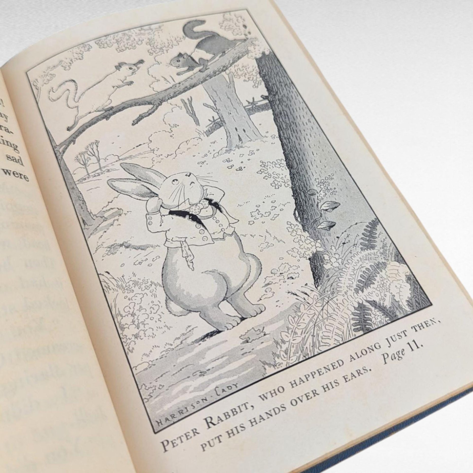 Antique 1918 Happy Jack Book by Thornton Burgess, Illustrated, Children's Story, Green Meadow Series
