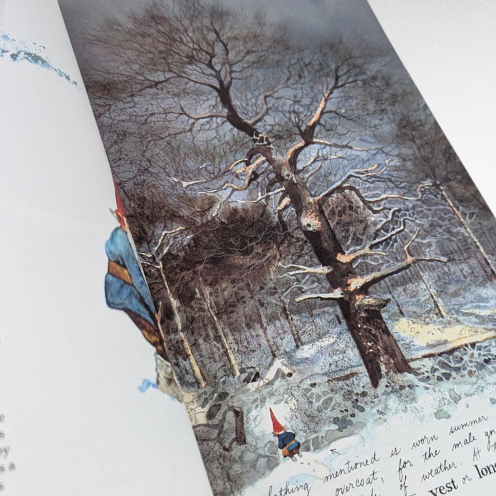 Vintage 1979 Gnomes Book by Will Huygen, Softcover Edition, Fantasy Art, Folklore, Classic Illustrated, Forest Gnome Lore