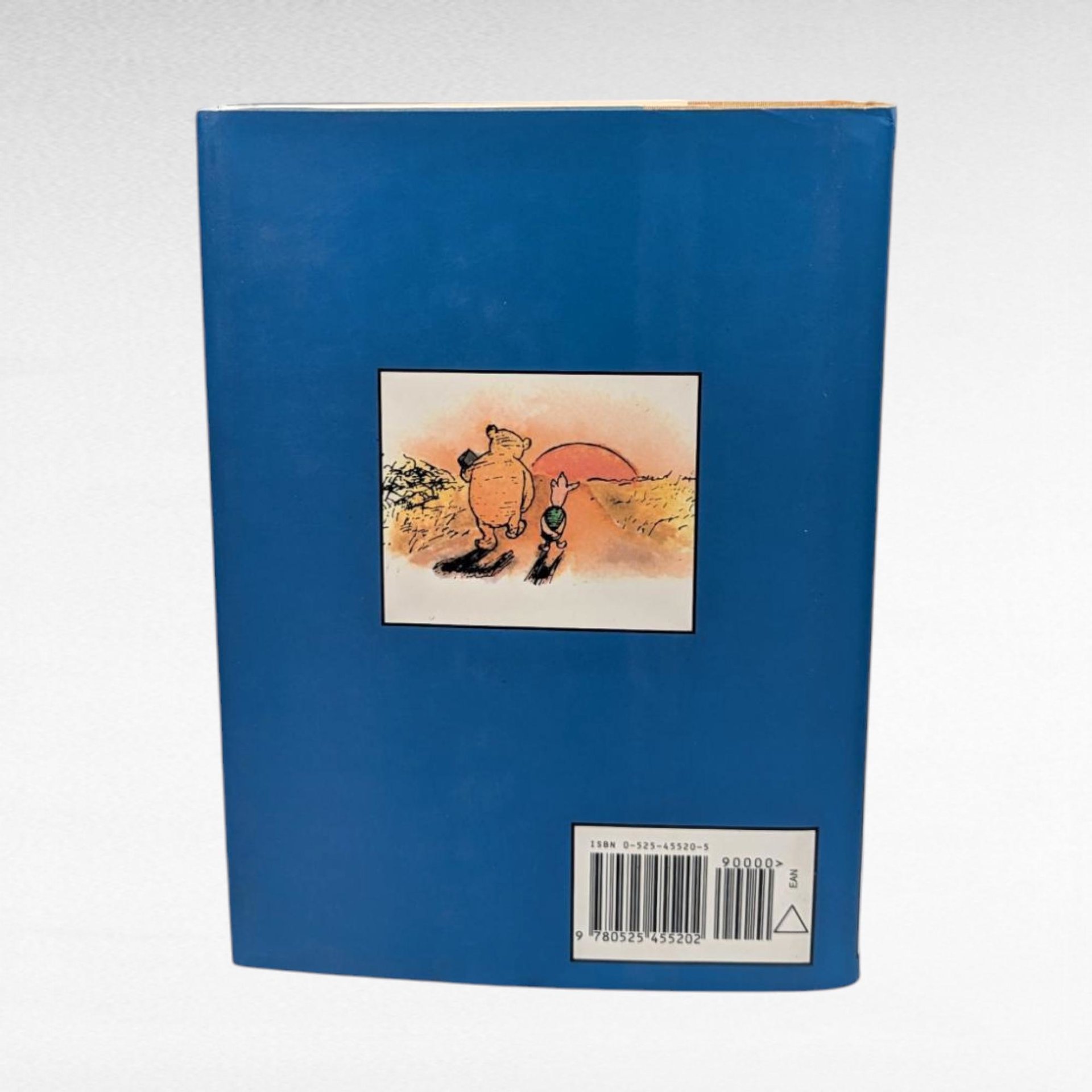 1995 Pooh and the Philosophers, John Tyerman Williams, Hardcover Book, Winnie The Pooh Philosophy