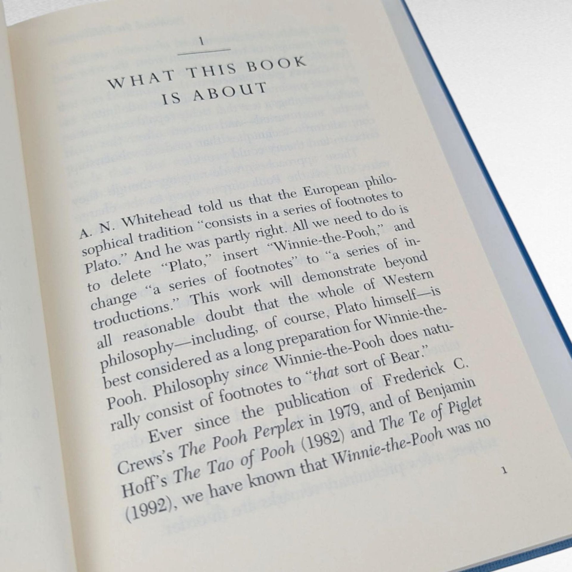 1995 Pooh and the Philosophers, John Tyerman Williams, Hardcover Book, Winnie The Pooh Philosophy
