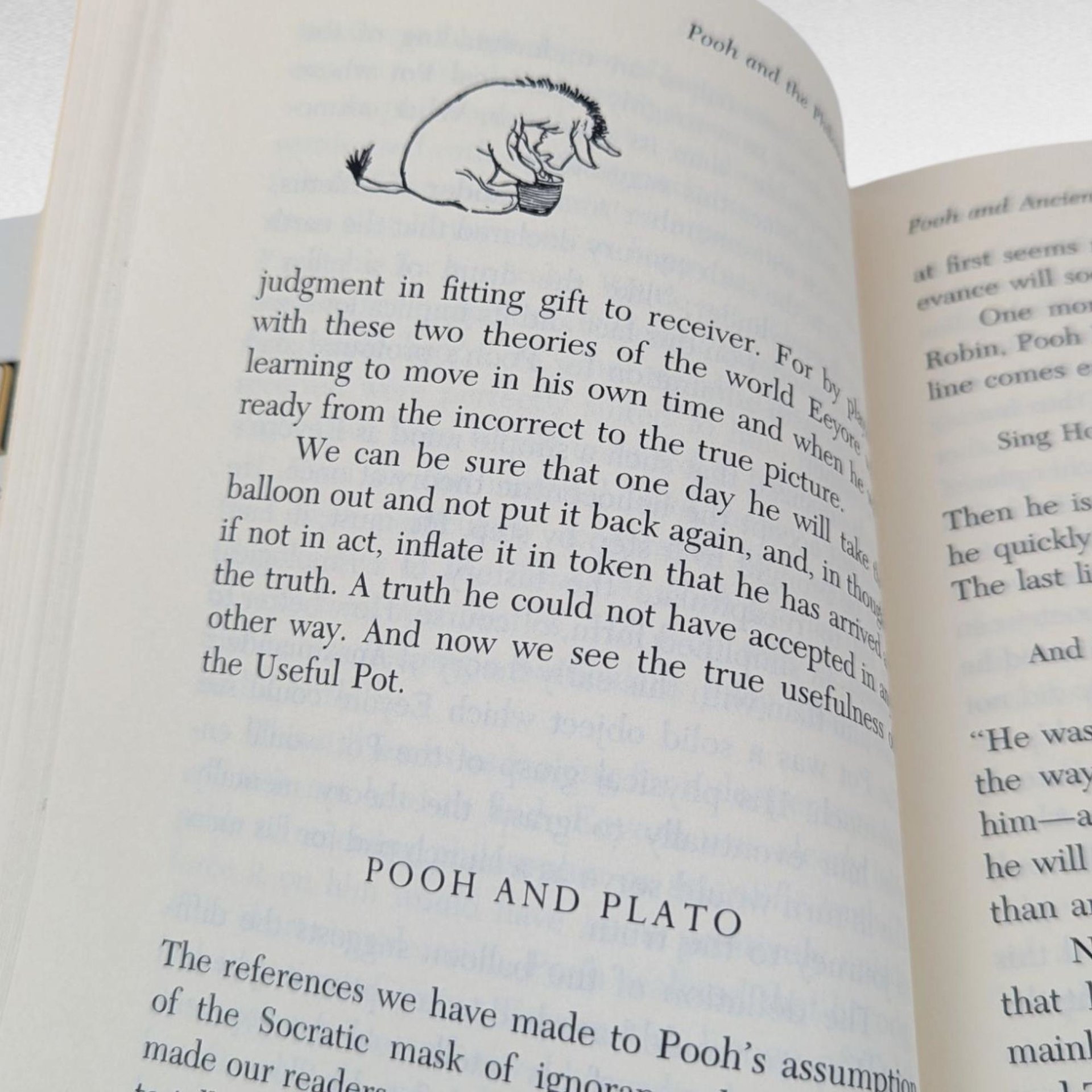 1995 Pooh and the Philosophers, John Tyerman Williams, Hardcover Book, Winnie The Pooh Philosophy