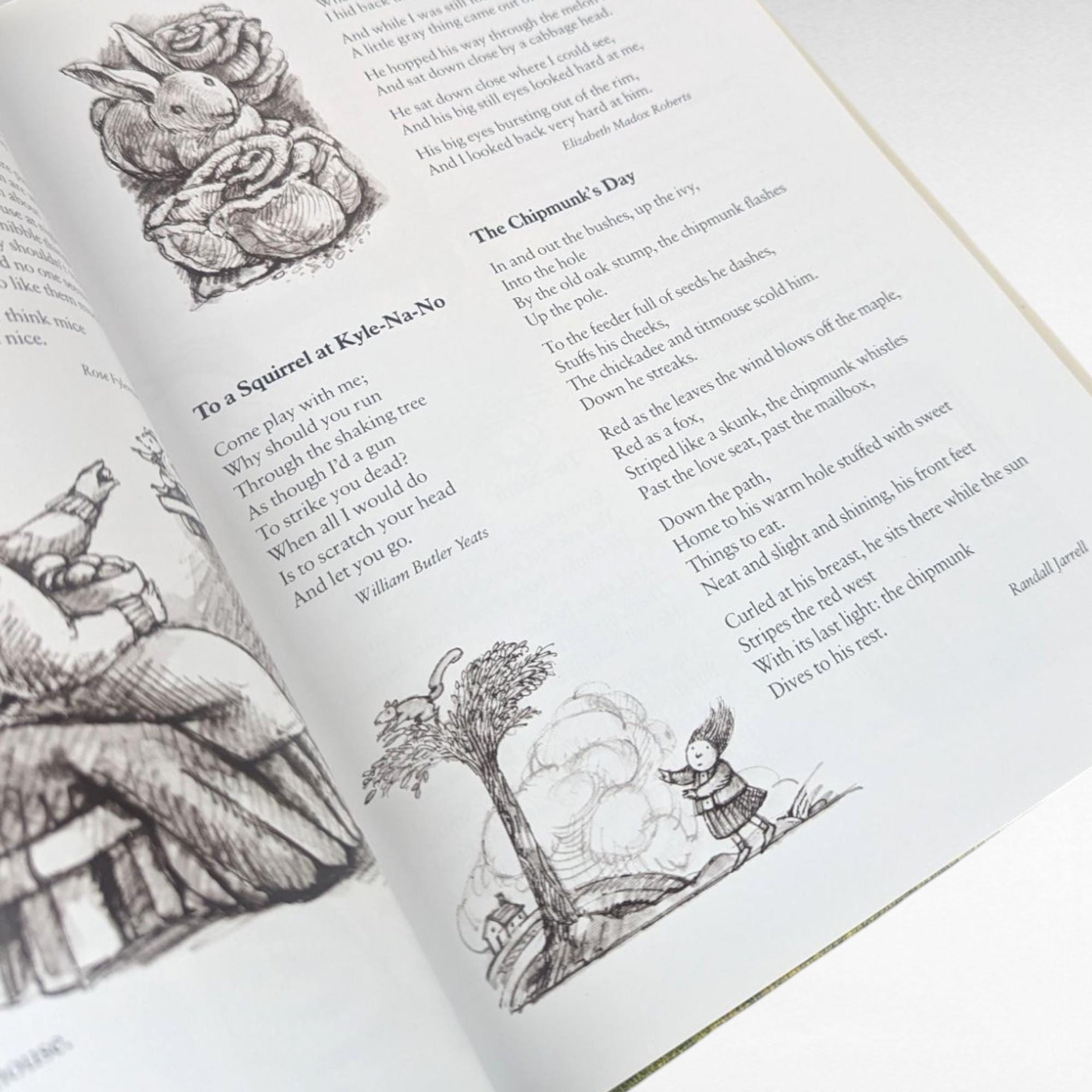 Vintage 1983 The Random House Book of Poetry for Children, Prelutsky & Lobel Hardcover with Dust Jacket, Classic Kids Poem Anthology