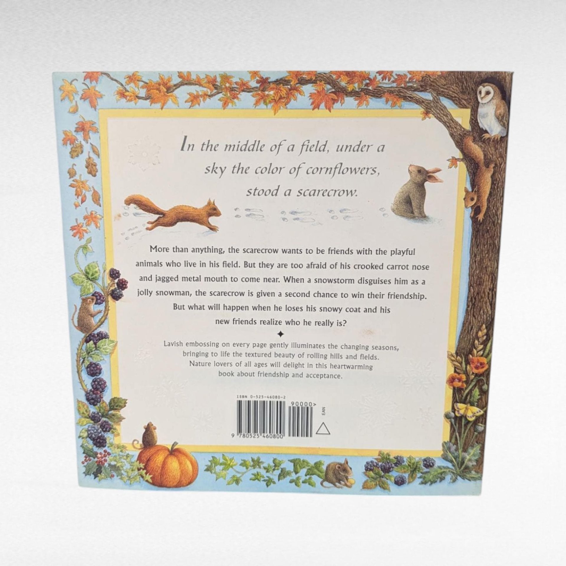 The Lonely Scarecrow, 1999 Hardcover, Tim Preston, Maggie Kneen, Illustrated Childrens Book, Autumn Story, Kids Picture Book