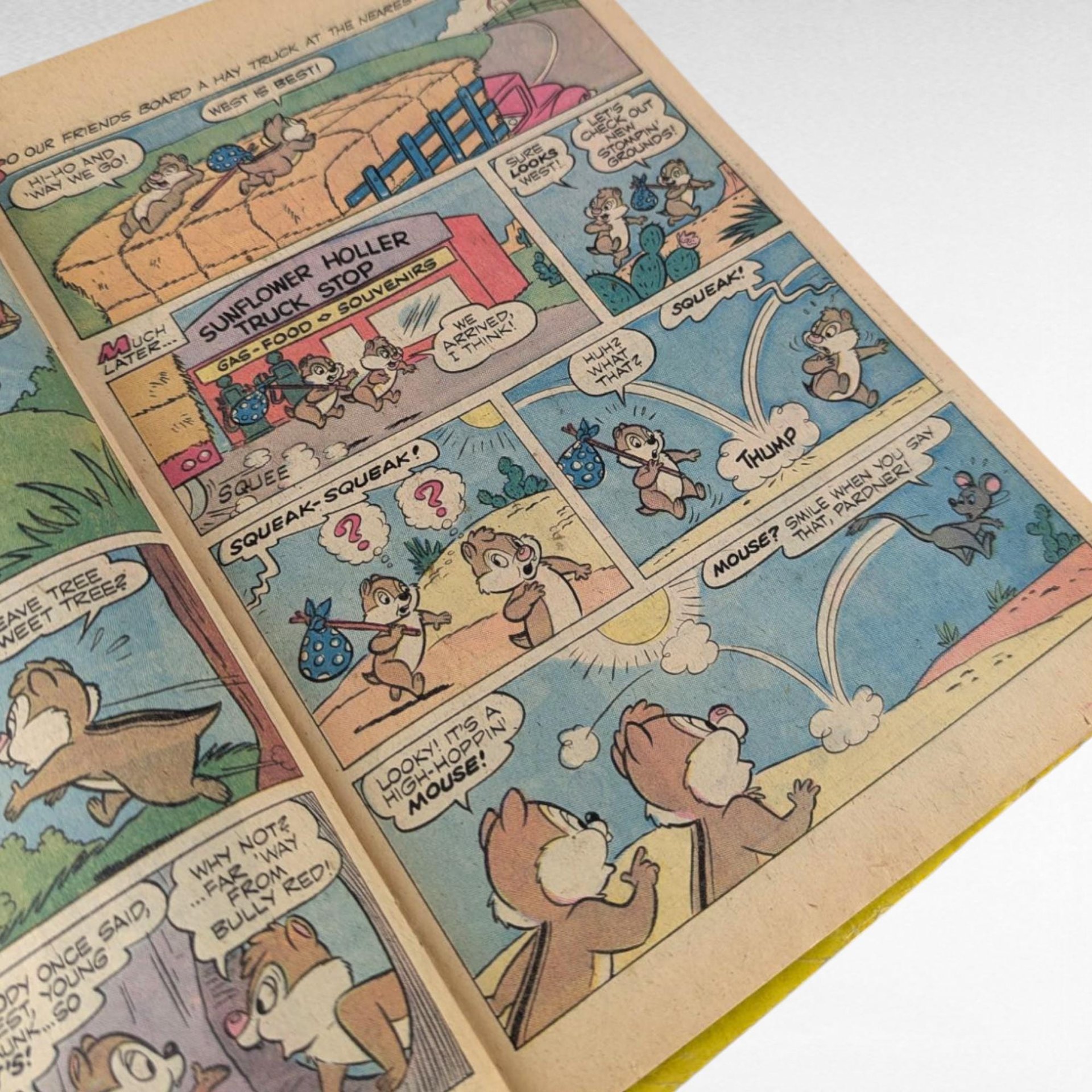 Vintage Disney Comics Lot of 2, Walt Disney's Comics and Stories 444 & Chip 'n' Dale 50, 1970s Donald Duck Comic Book Set, Gold Key Whitman