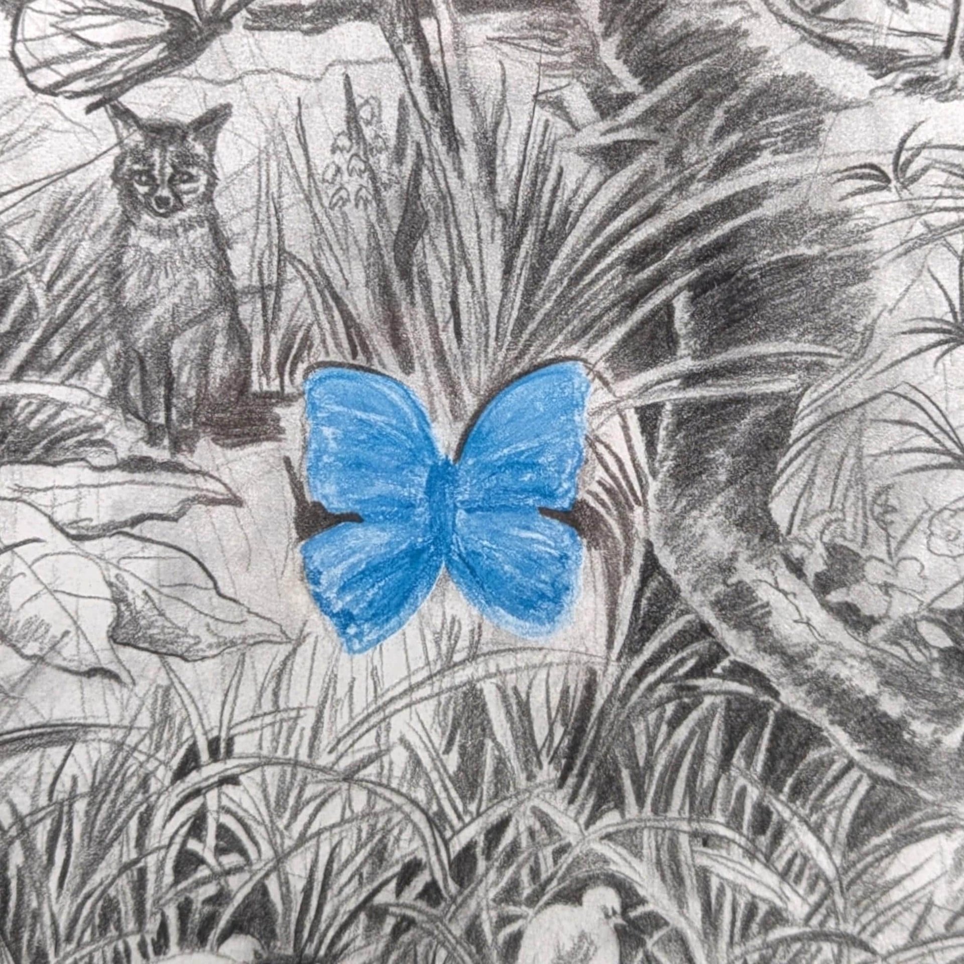 1998 Detailed Nature Drawing Print, Black Metal Frame, Vintage Wildlife Art, Gift for Nature Lover, Home Decor