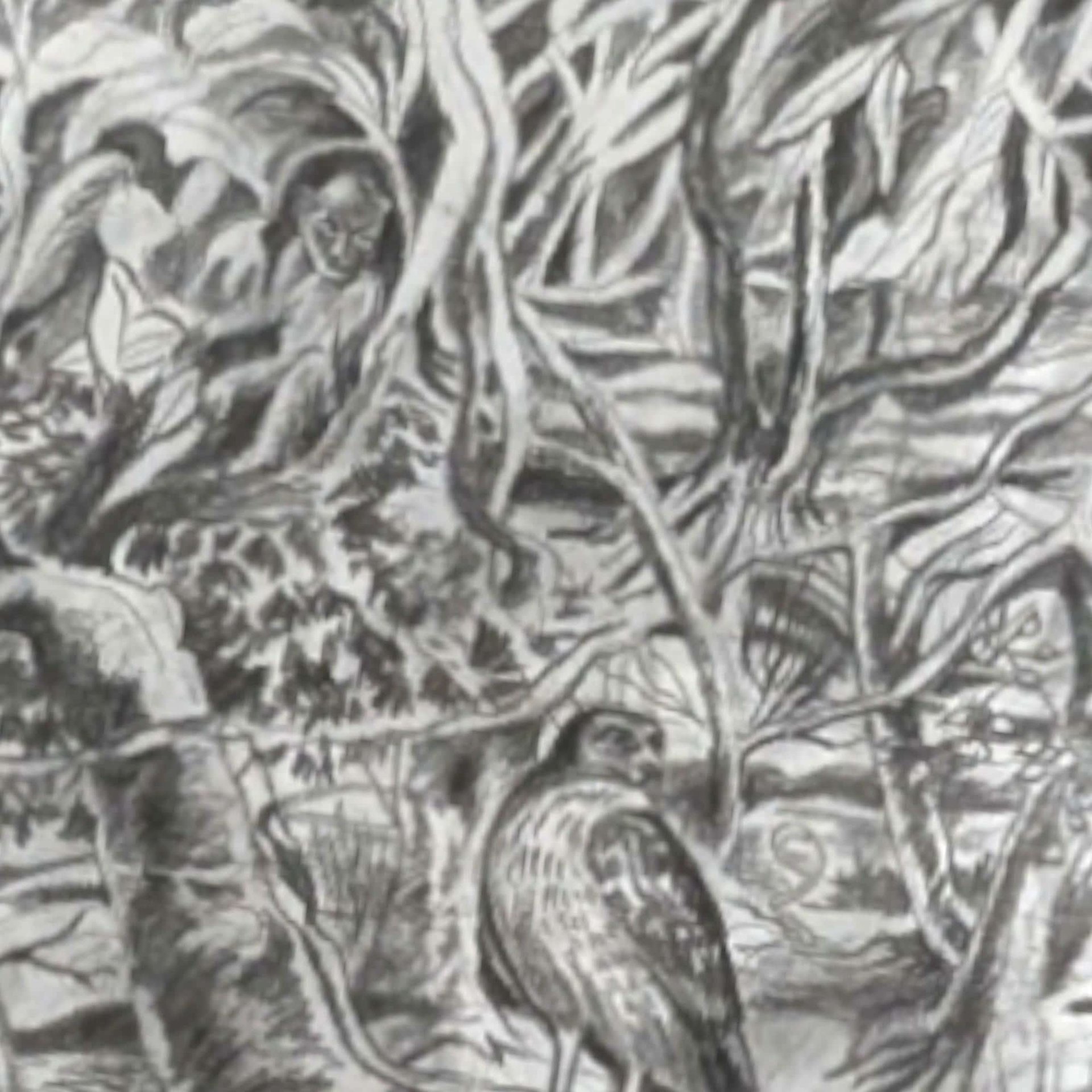 1998 Detailed Nature Drawing Print, Black Metal Frame, Vintage Wildlife Art, Gift for Nature Lover, Home Decor