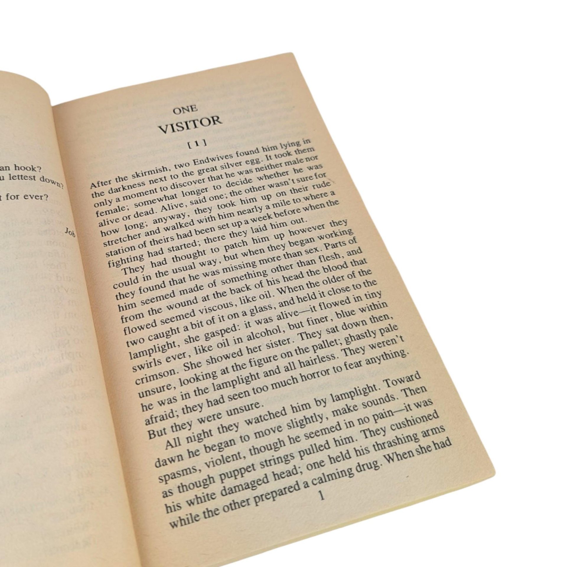 The Deep by John Crowley 1976 Vintage Paperback, First Paperback Edition Sci Fi Fantasy Novel, 70s Book with Ursula K Le Guin Quote