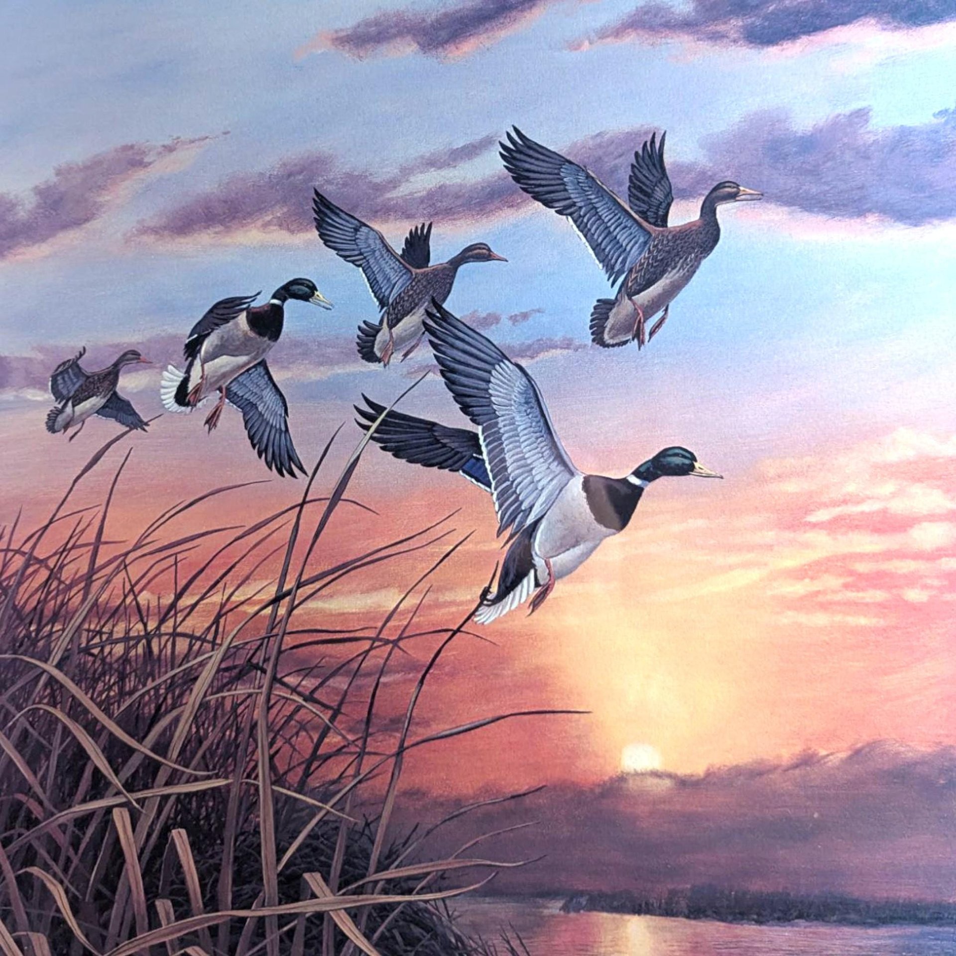 Vintage "Mallards at Sunset" Signed & Numbered Print by Rhynard Klingbeil, Framed Wildlife Art, Duck Decor, Nature Gift