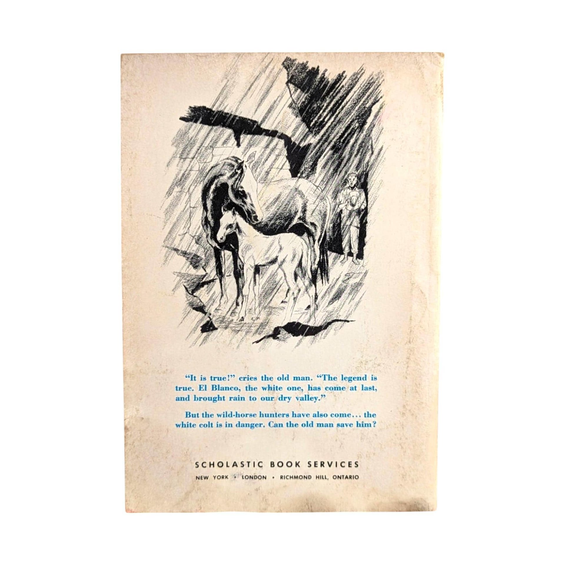 1961 Walt Disney's White Stallion Book, Rutherford Montgomery, Vintage Children's Literature, Horse Lover Gift, Collectible Disneyana