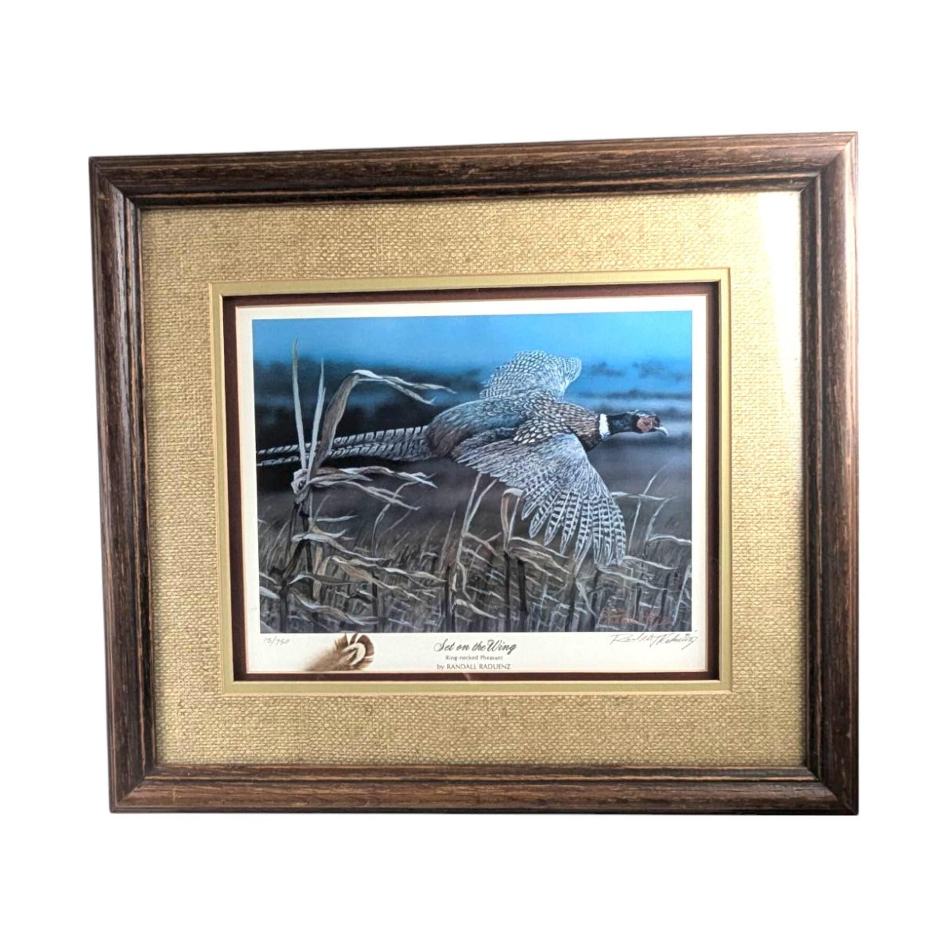 Signed & Numbered Pheasant Print by Randall Raduenz: Wildlife Art 15/750