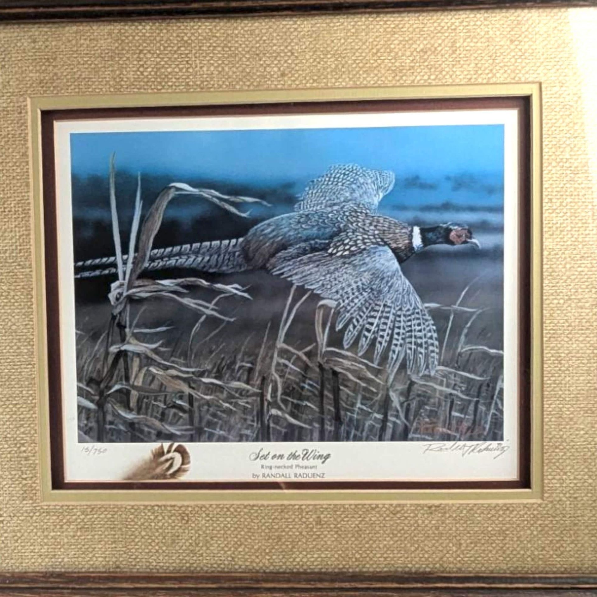 Signed & Numbered Pheasant Print by Randall Raduenz: Wildlife Art 15/750