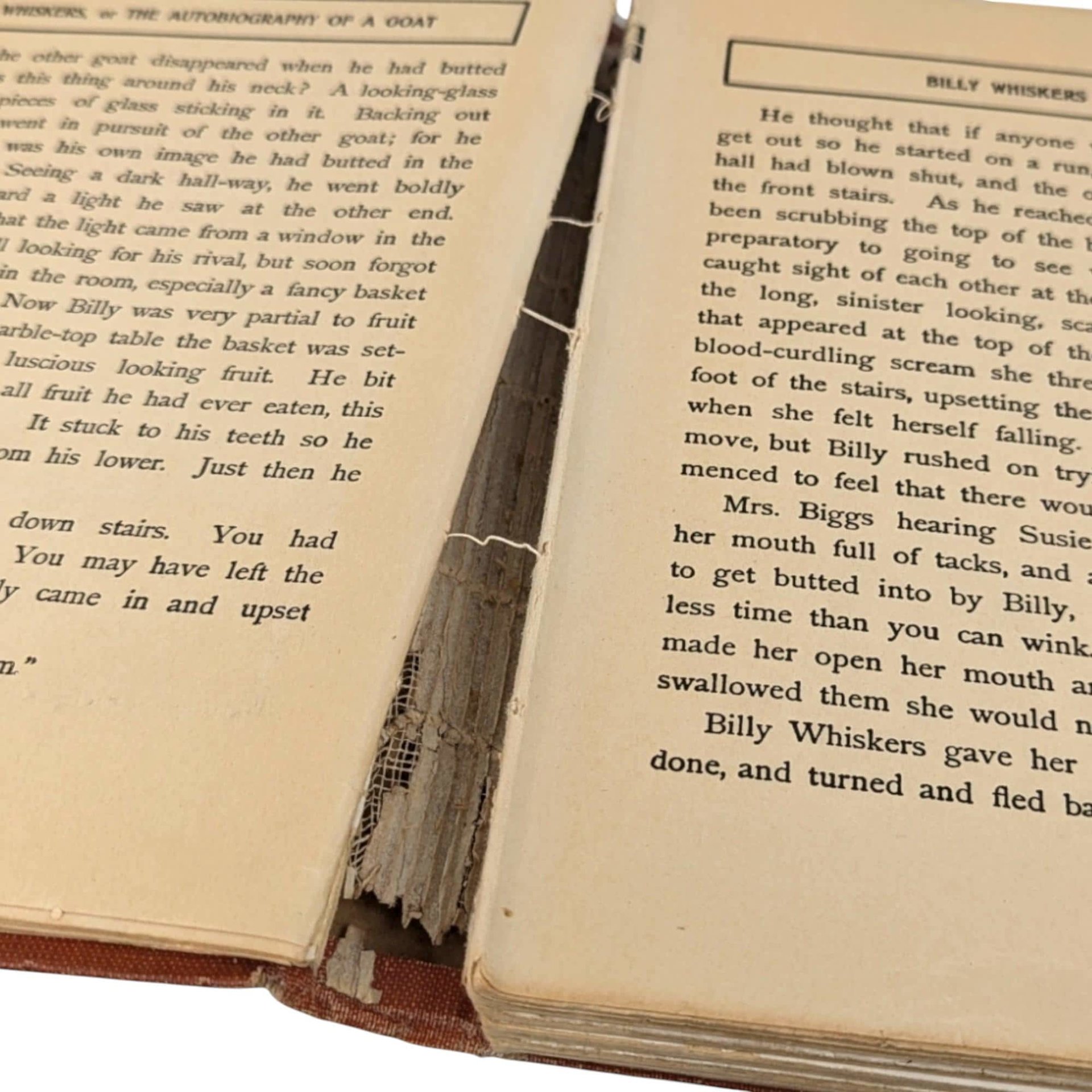 1902 Billy Whiskers Autobiography of a Goat, Frances Trego Montgomery, Antique Children's Book, Antique Animal Story, Fair Condition