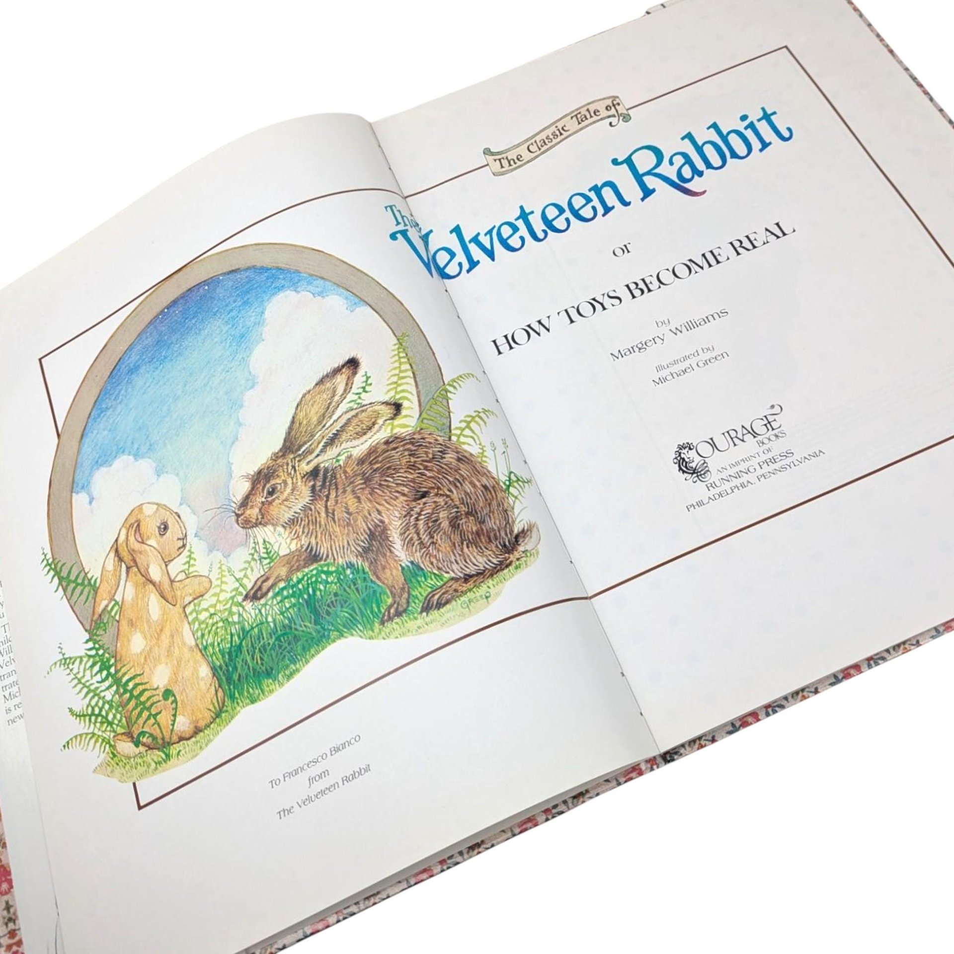 1984 Velveteen Rabbit Hardcover, Margery Williams Book, Michael Green Illustrations, Vintage Children's Book, Classic Story