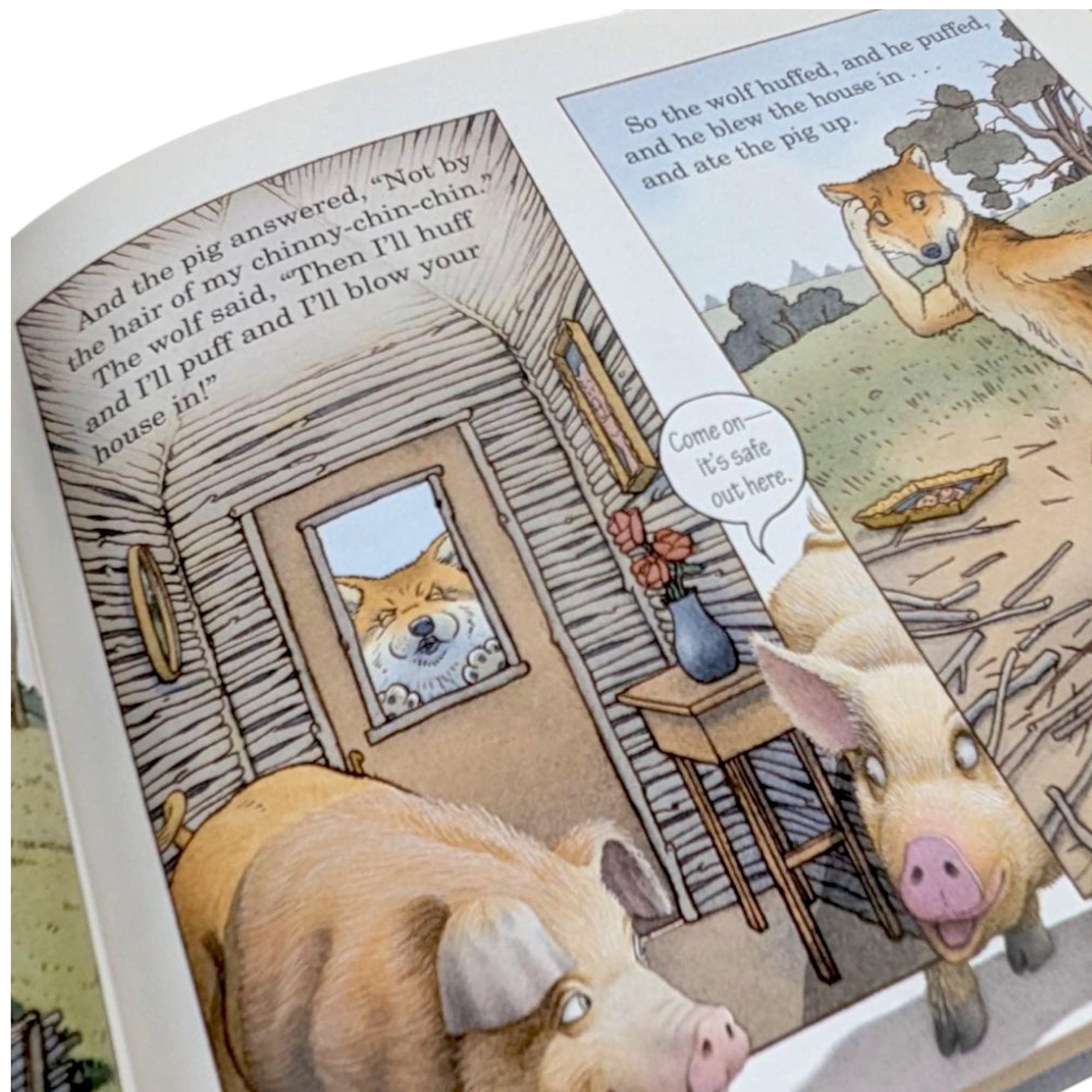2001 The Three Pigs by David Wiesner, Caldecott Medal Winner, Hardcover Children's Book, Vintage Storybook Gift