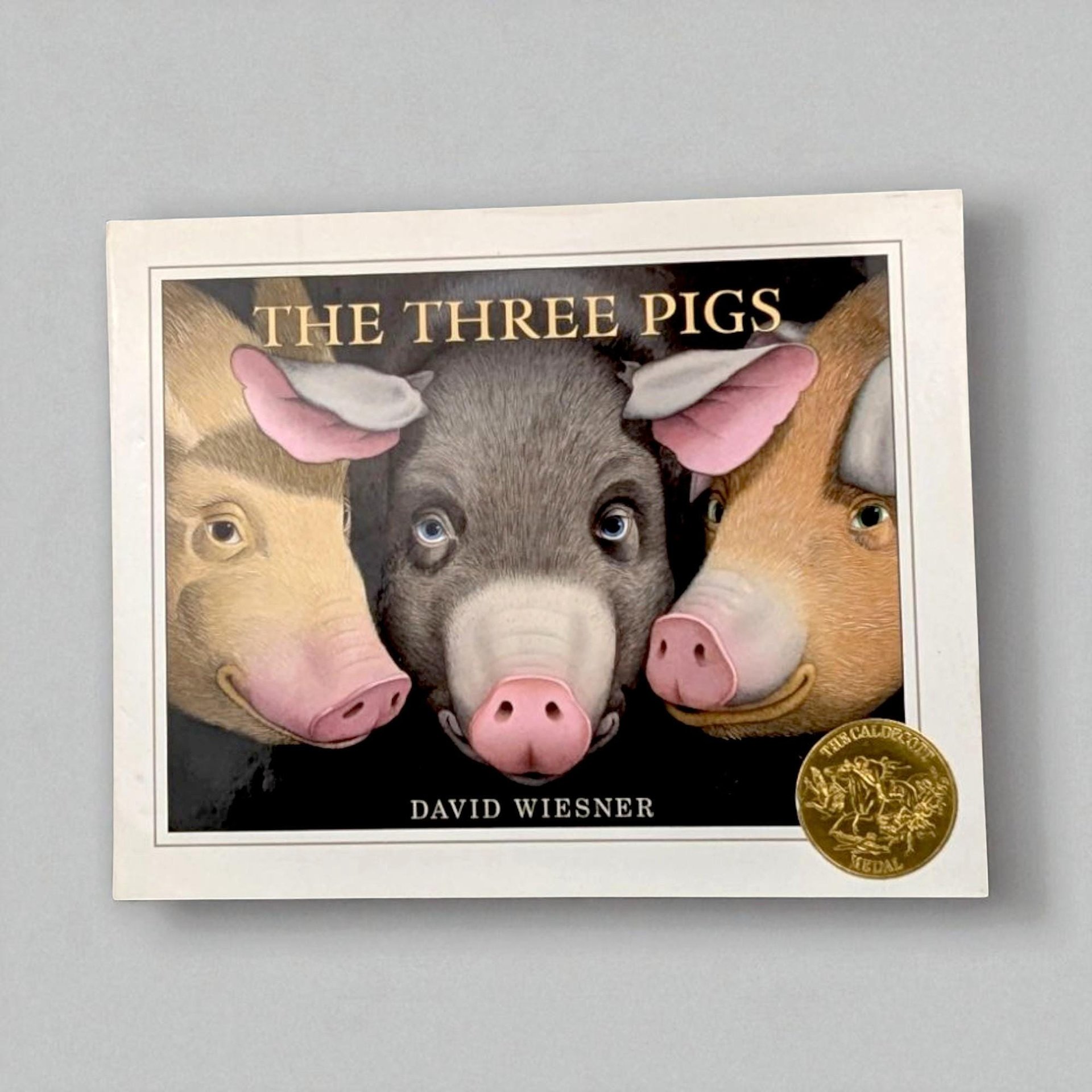 2001 The Three Pigs by David Wiesner, Caldecott Medal Winner, Hardcover Children's Book, Vintage Storybook Gift