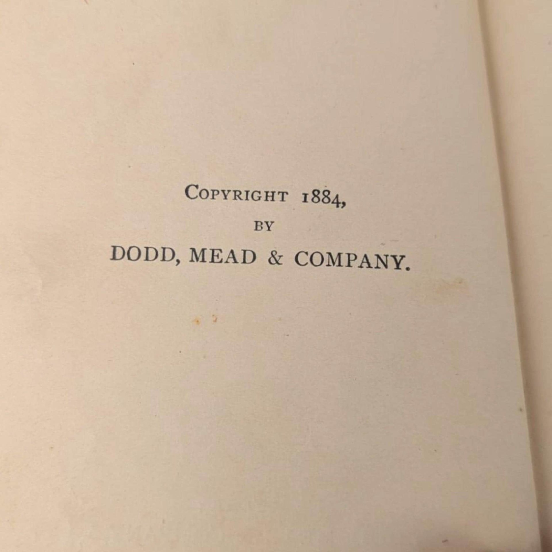 1884 Illustrated Children's Book, Antique Kids Story, Wet Afternoon, Dodd Mead, Collectible Children's Literature