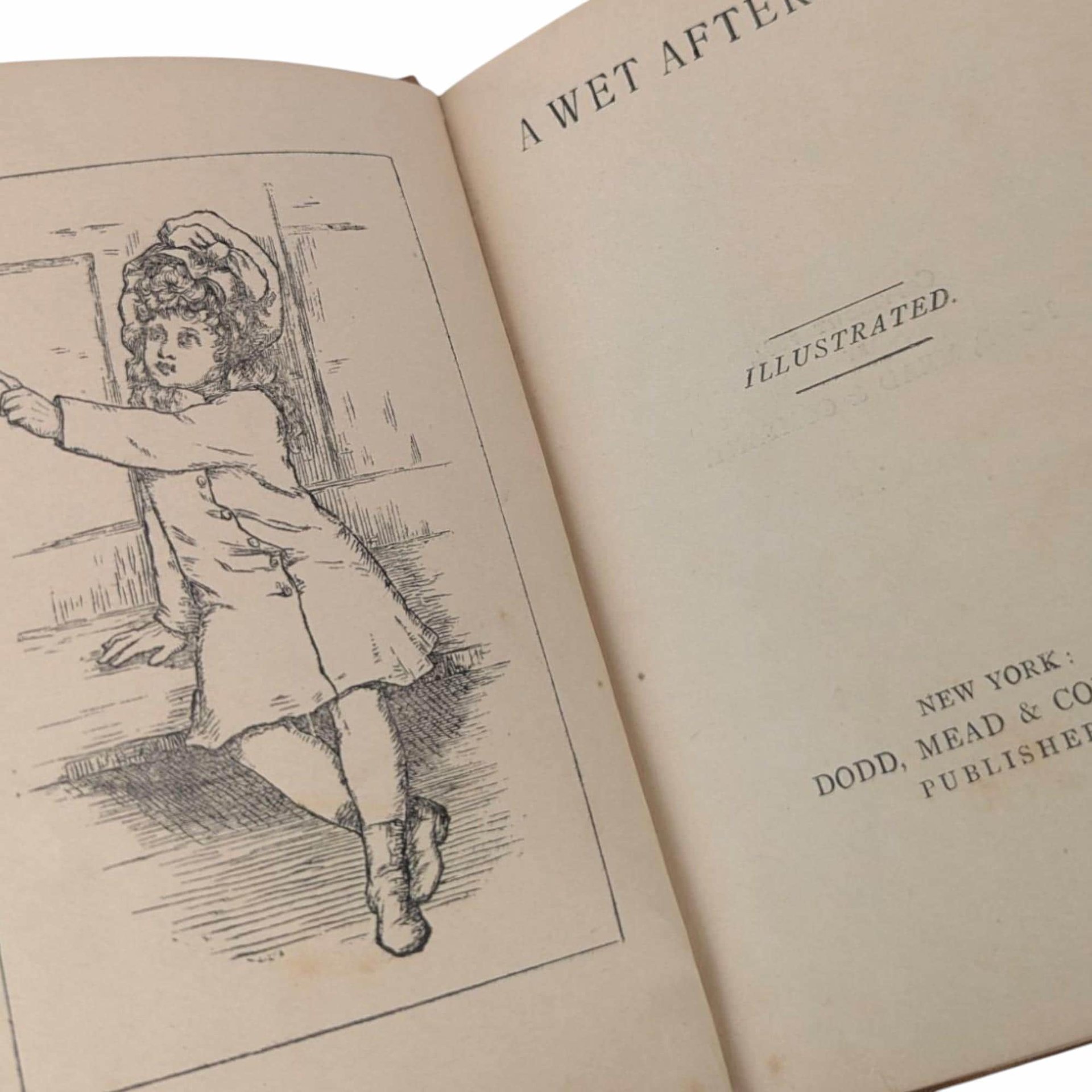 1884 Illustrated Children's Book, Antique Kids Story, Wet Afternoon, Dodd Mead, Collectible Children's Literature