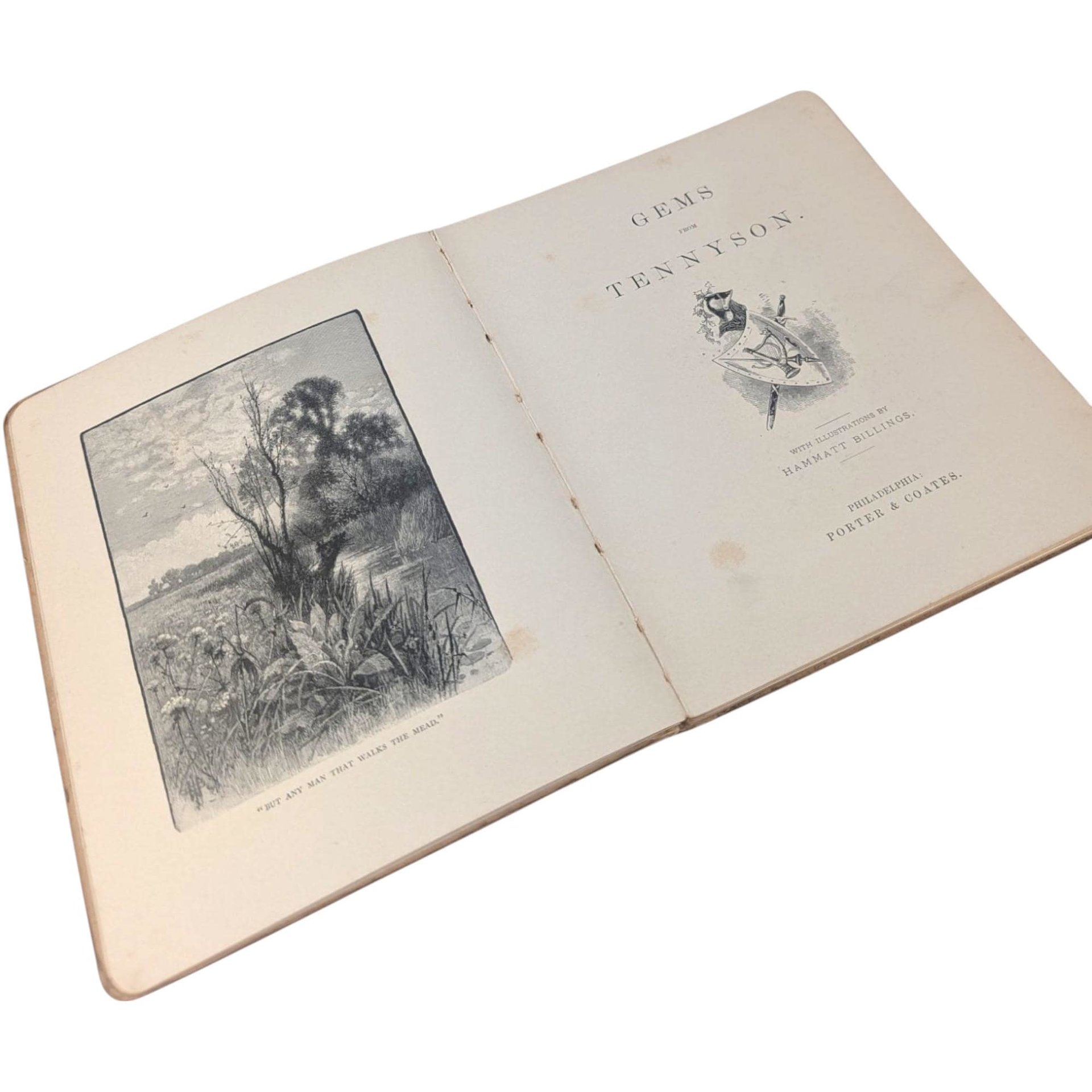 1888 Tennyson Poetry Book, Antique Illustrated Verse, Gems from Tennyson, Hammett Billings Art, Porter Coates, Literary Collectible