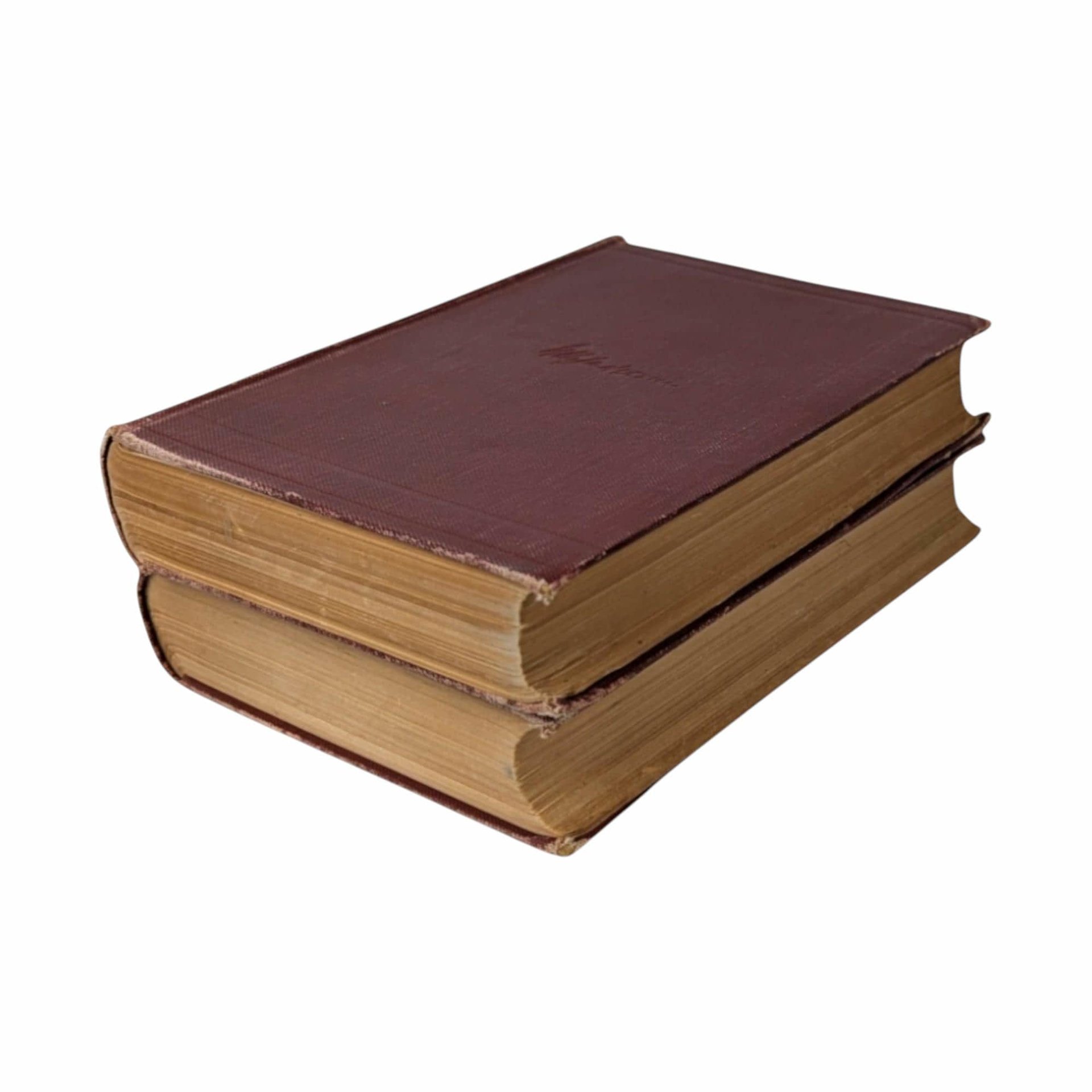 1908 Life of Gladstone: Antique Biography, 2-Volume Set
