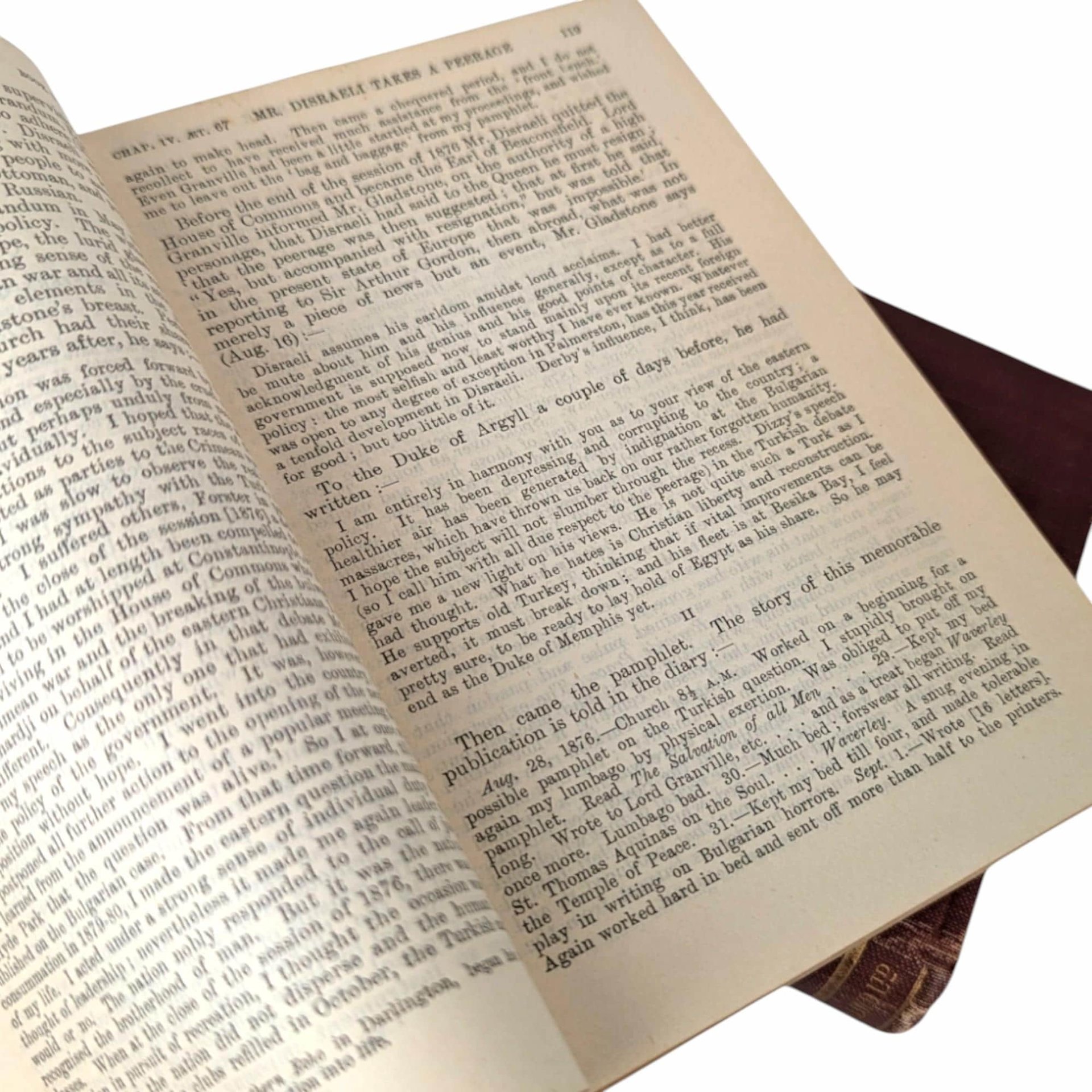 1908 Life of Gladstone: Antique Biography, 2-Volume Set