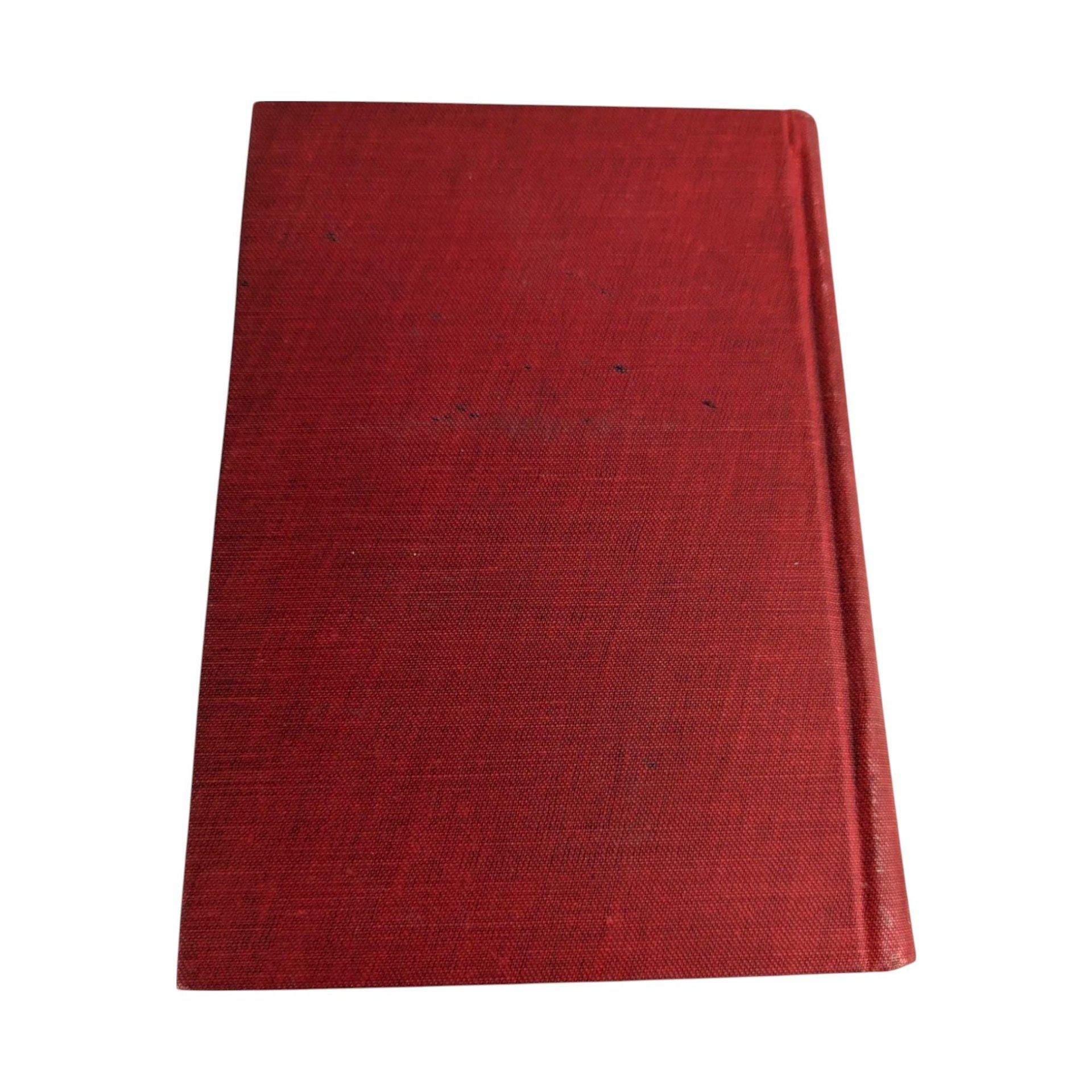 1919 A Man for the Ages | Antique Book by Irving Bacheller | Illustrated | Historical Fiction | Abraham Lincoln | Gift for Reader