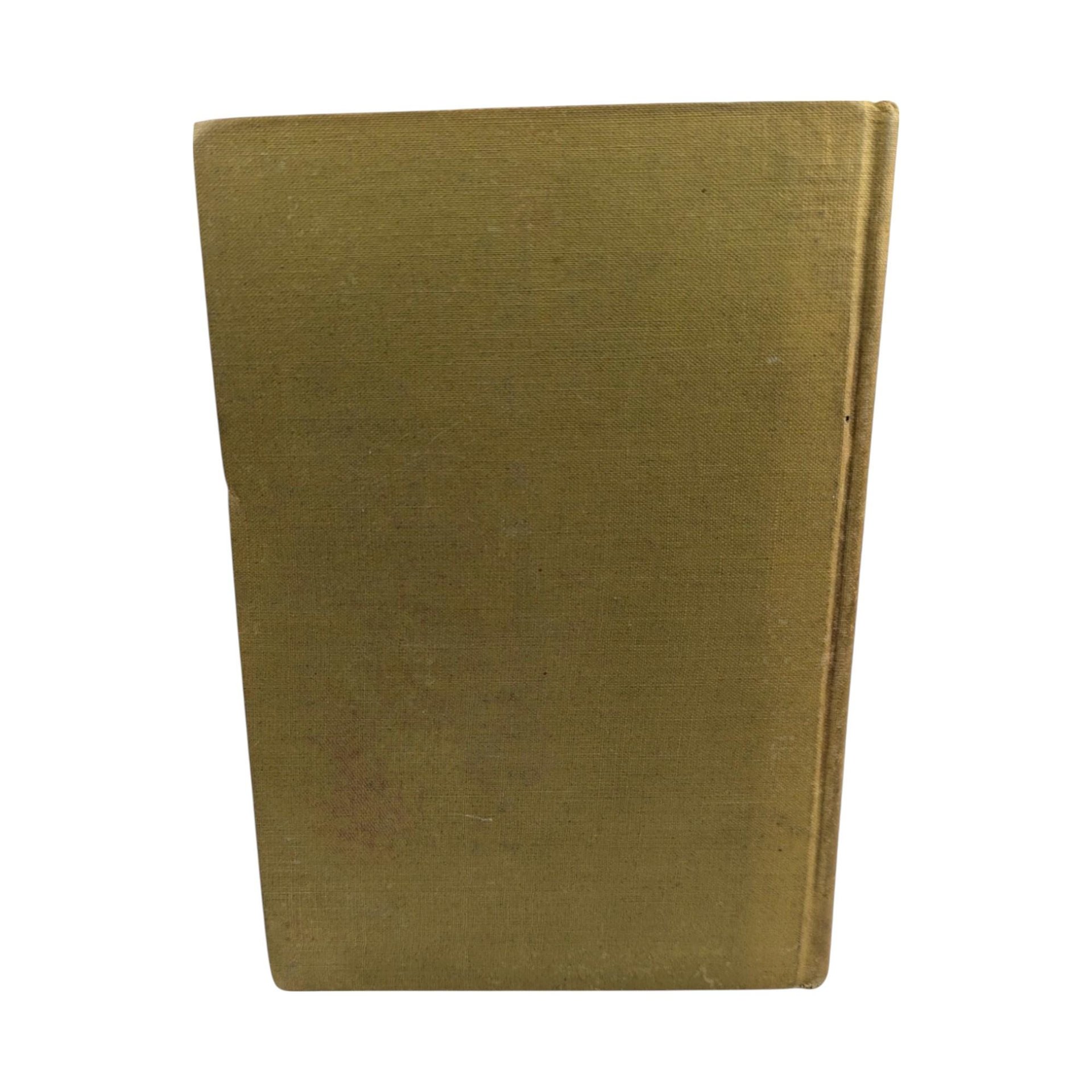 1910 Madame X Antique Book, Mother Love Story, Illustrated, by J.W. McConaughy, The H.K. Fly Company, Edward C. Volkert
