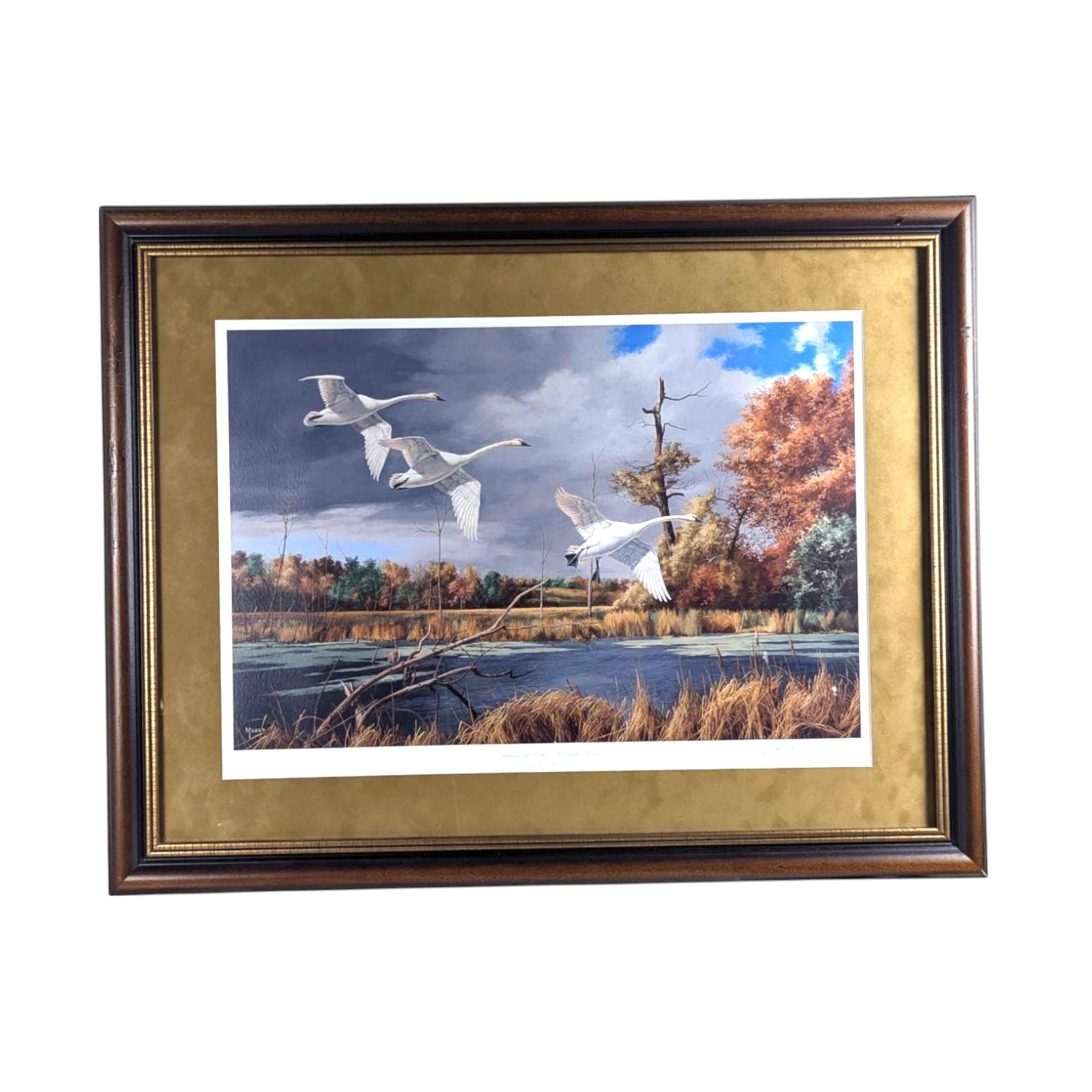 David A. Maass "Autumn at Baker - Trumpeter Swans" Framed Print, Signed Wildlife Art, Vintage Bird Decor, Swan Landscape Painting