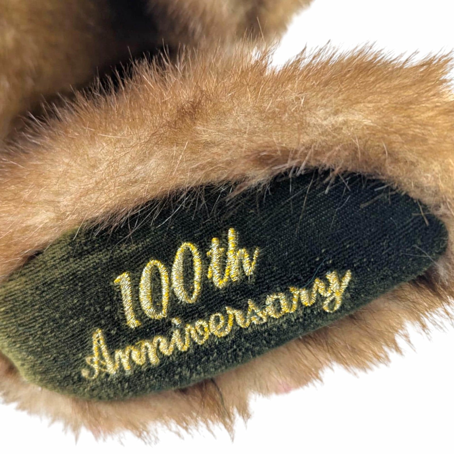 Vintage 2002 Talking Teddy Bear Plush: Dandee 100th Anniversary Collector's Edition