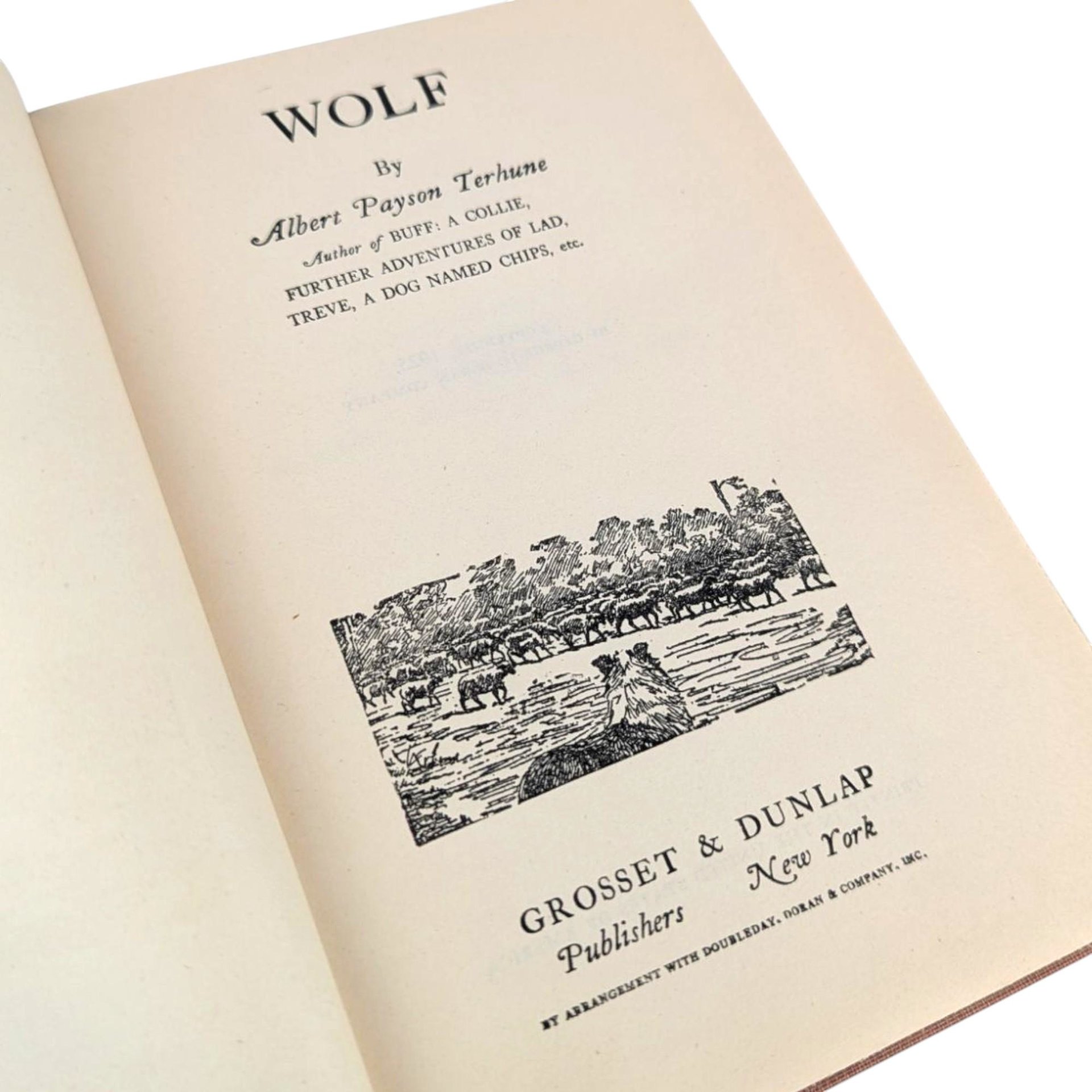 Antique 1925 'Wolf' by Albert Payson Terhune: Hardcover Collie Dog Story Book