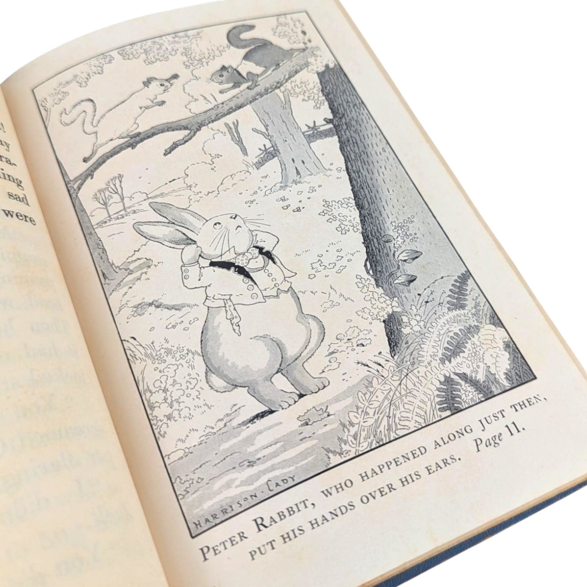 Antique 1918 'Happy Jack' Book: Thornton Burgess Green Meadow Series